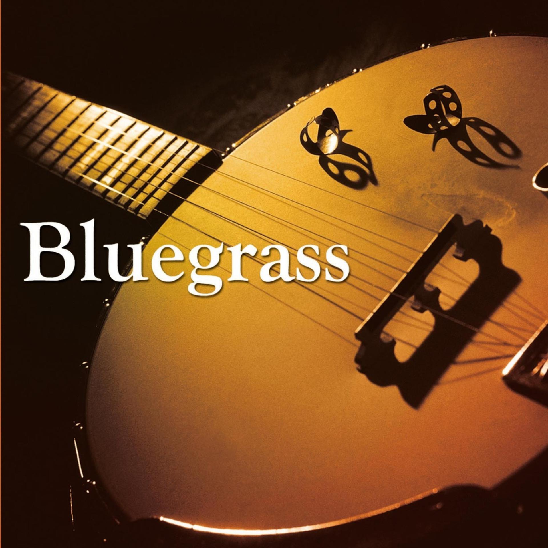 Постер альбома Bluegrass