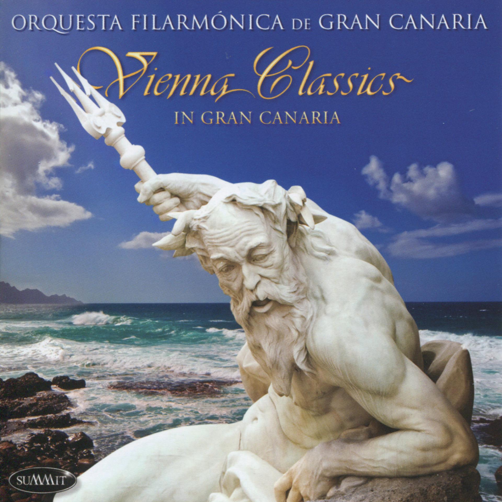 Постер альбома Vienna Classics in Gran Canaria