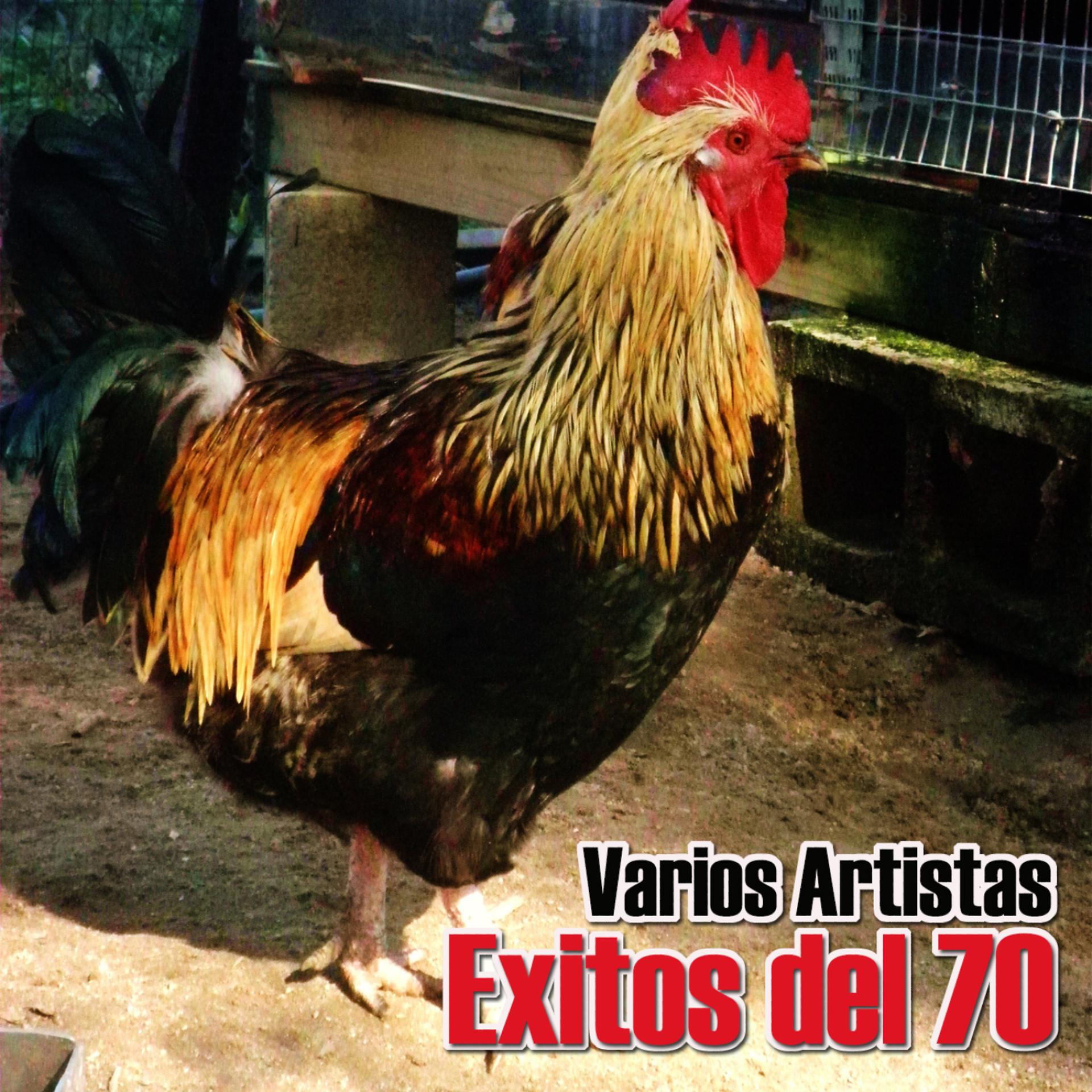 Постер альбома Exitos Del 70
