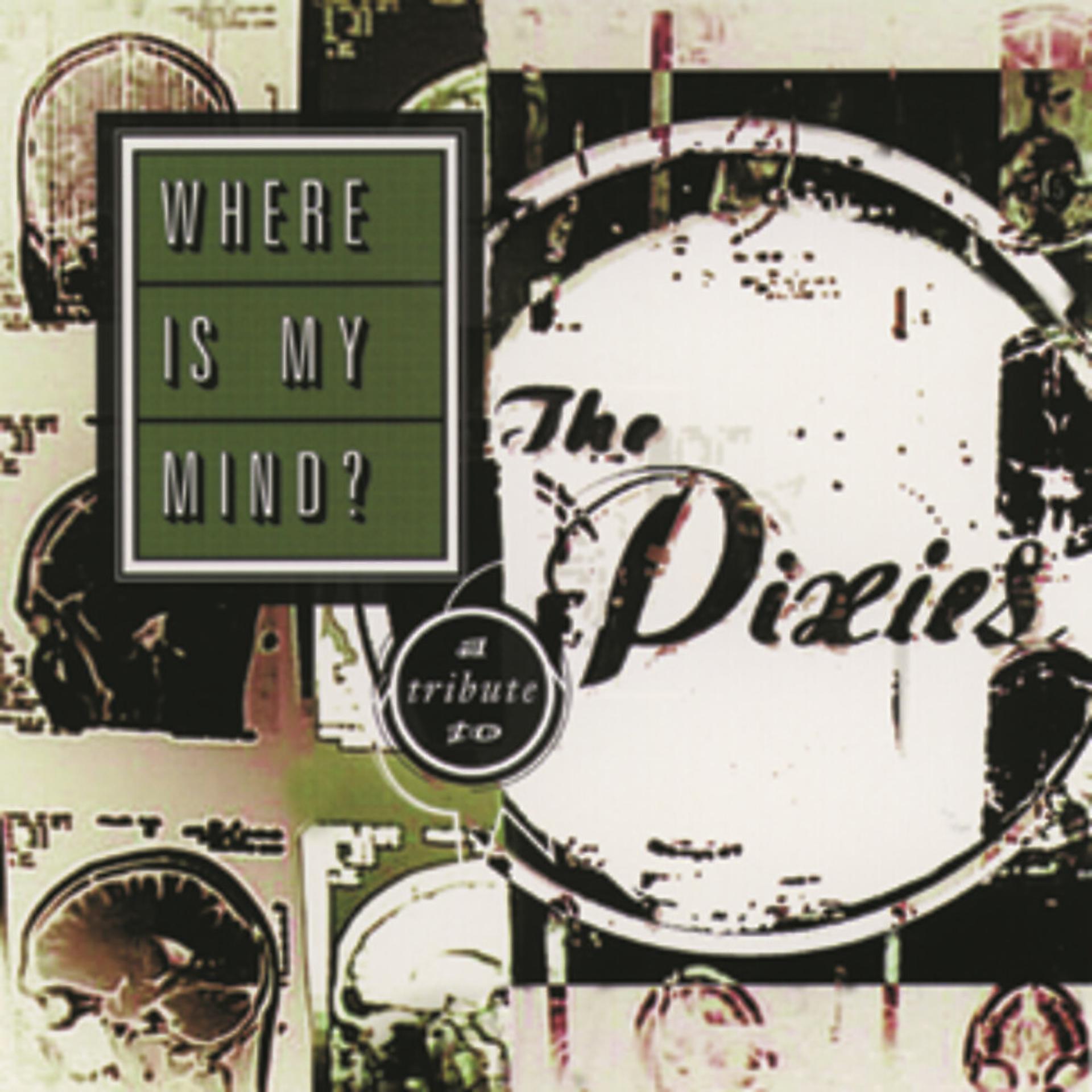 Постер альбома Where Is My Mind: A Tribute To The Pixies