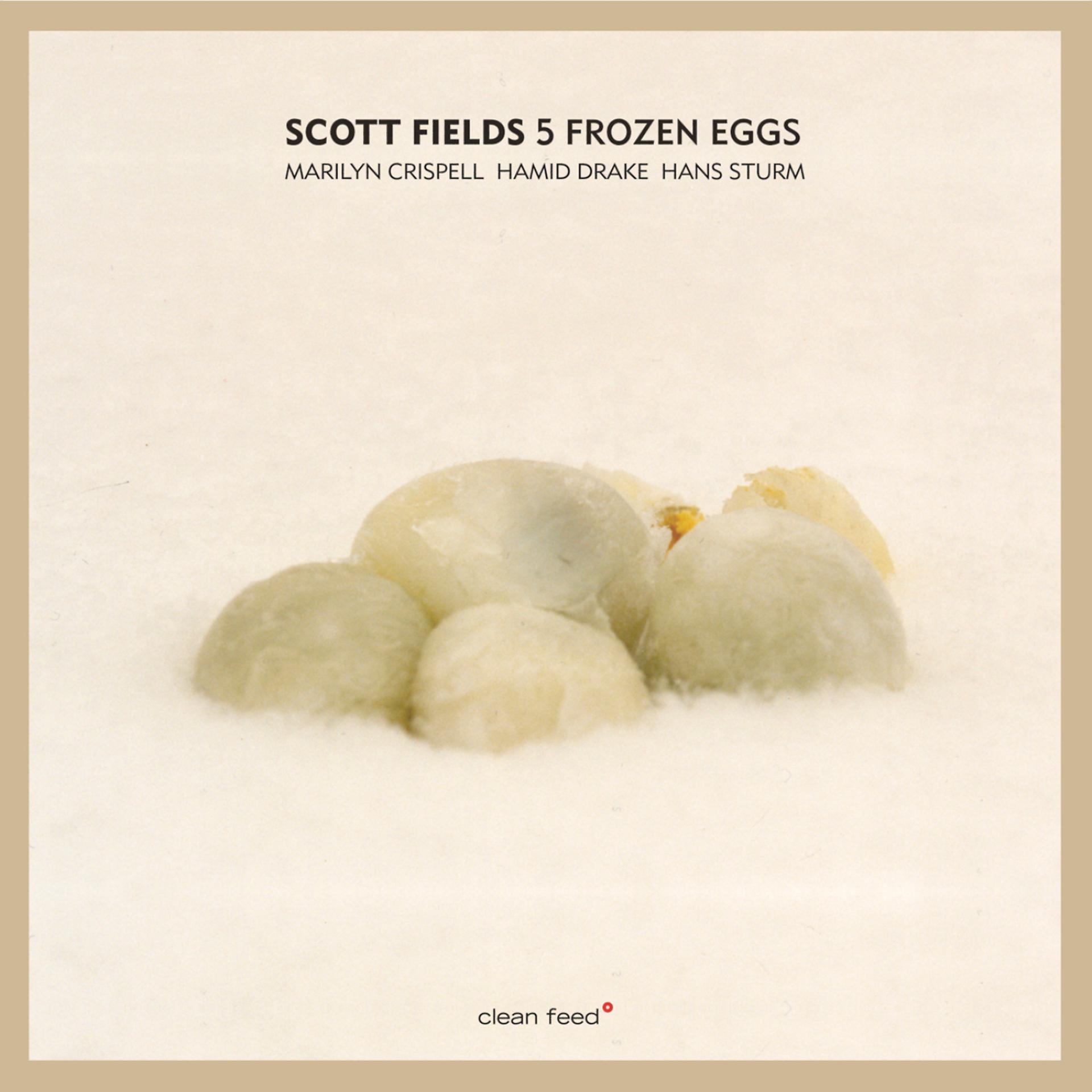 Постер альбома 5 Frozen Eggs