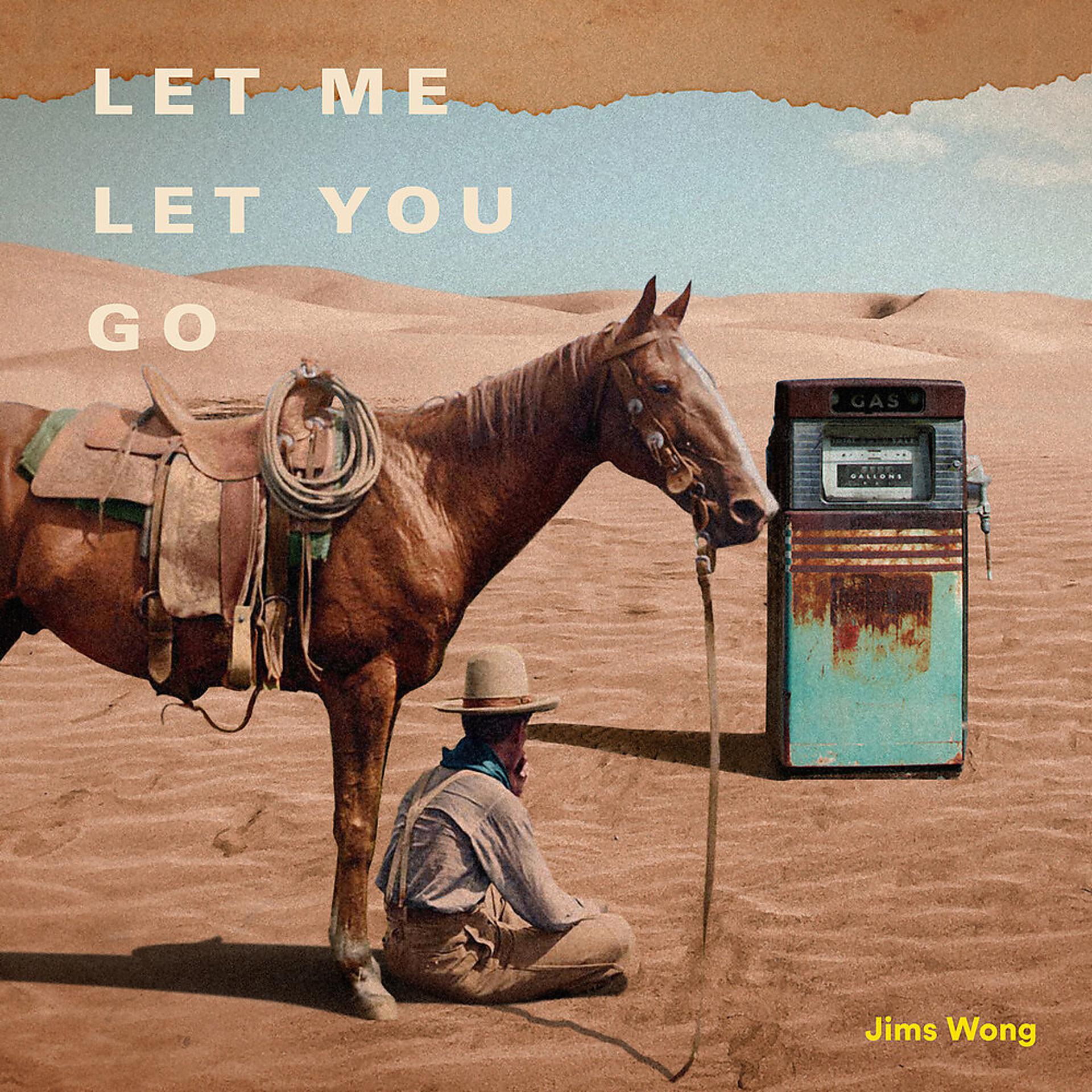 Постер альбома Let Me Let You Go