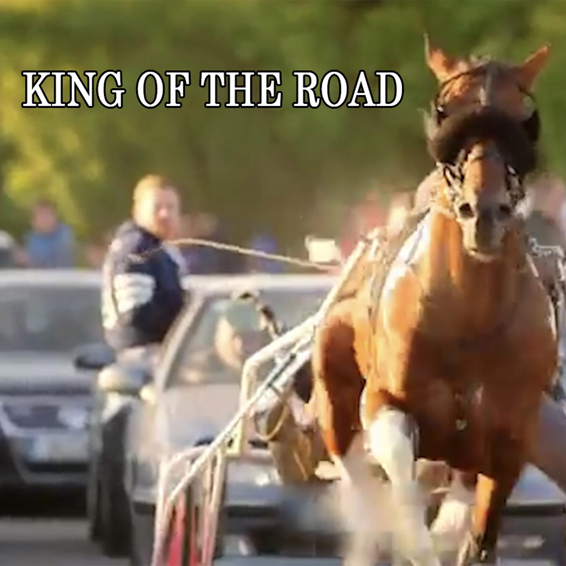 Постер альбома King of the Road