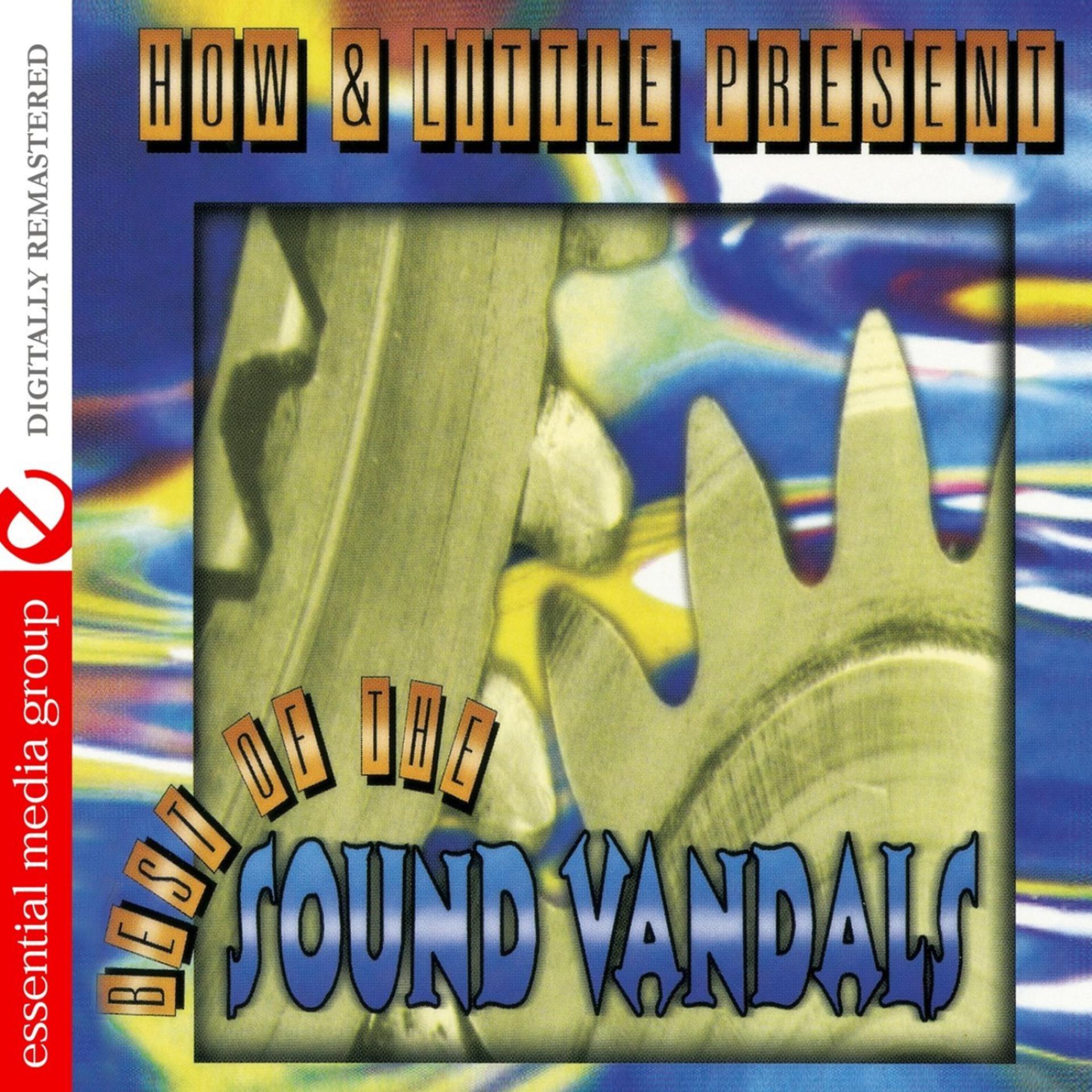 Постер альбома Sound Vandals