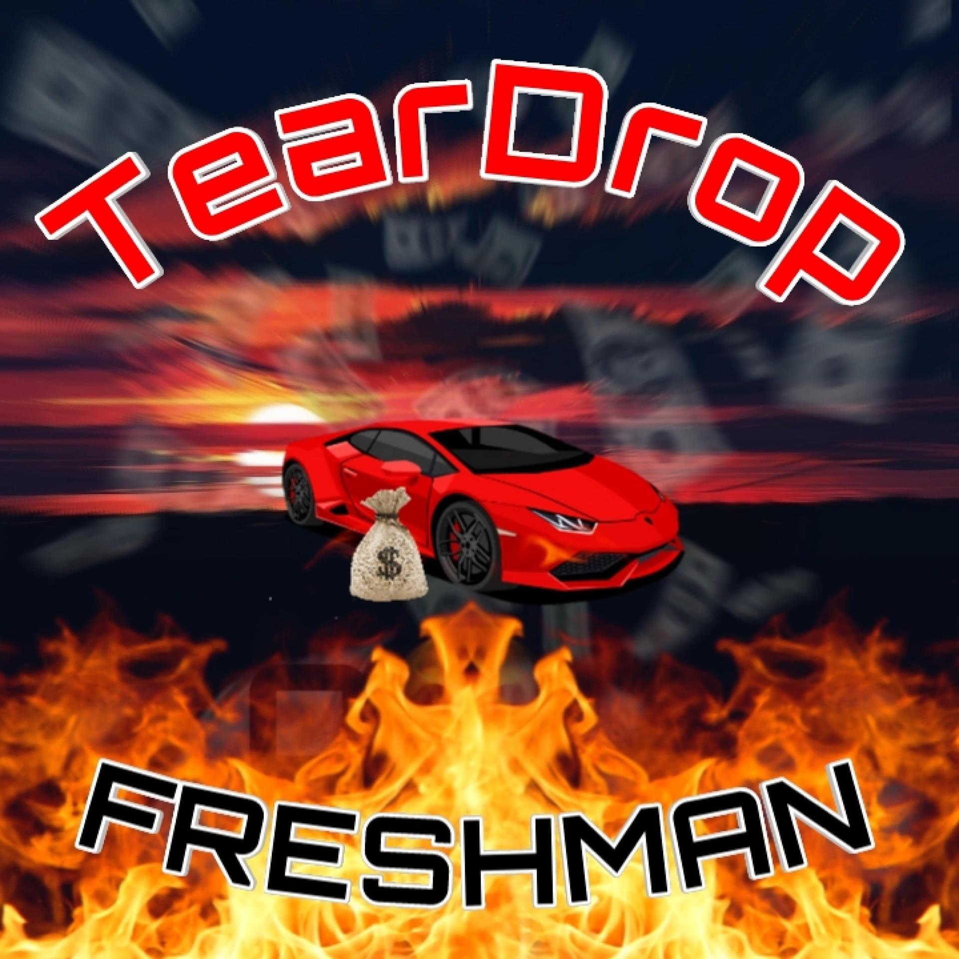 Постер альбома Freshman