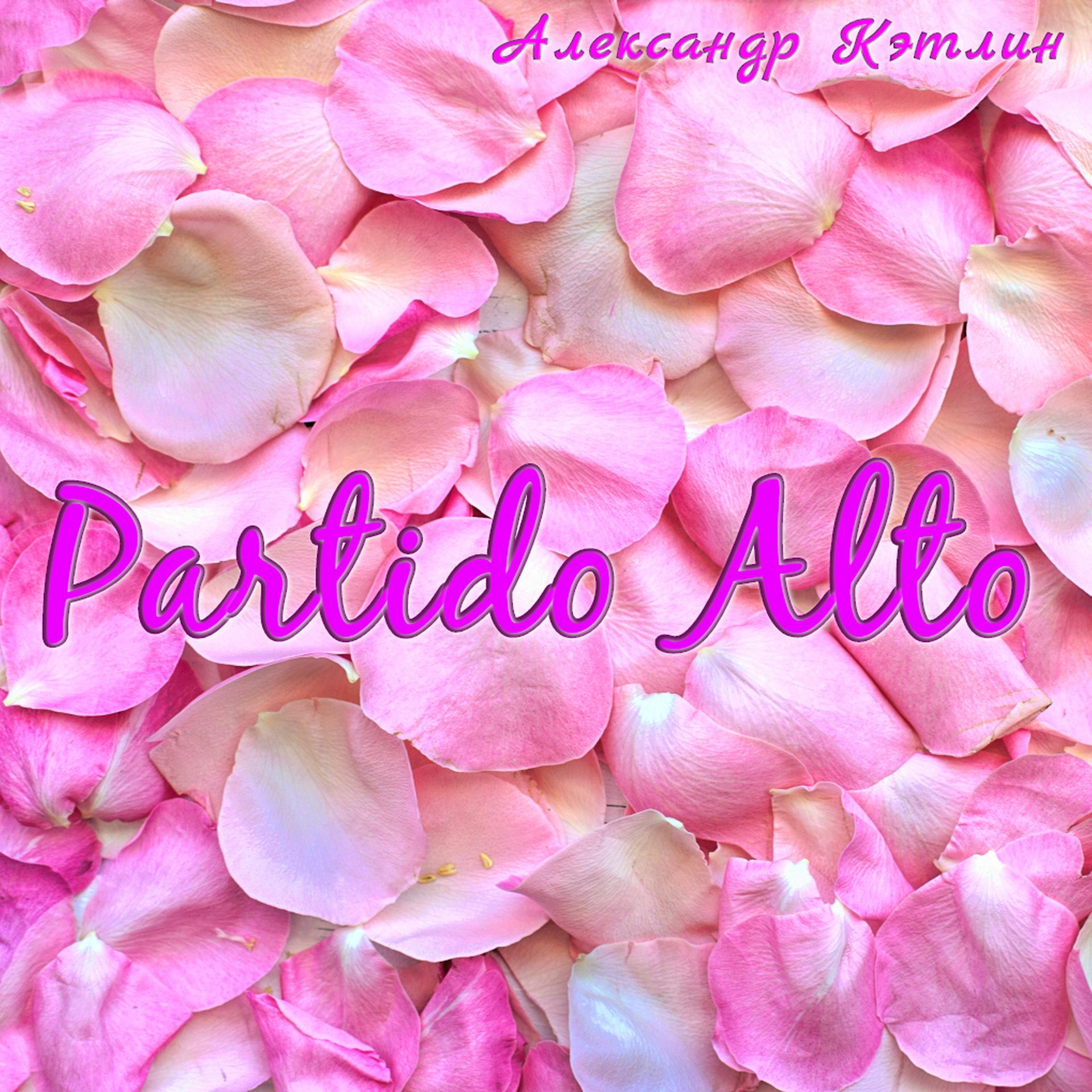 Постер альбома Partido Alto