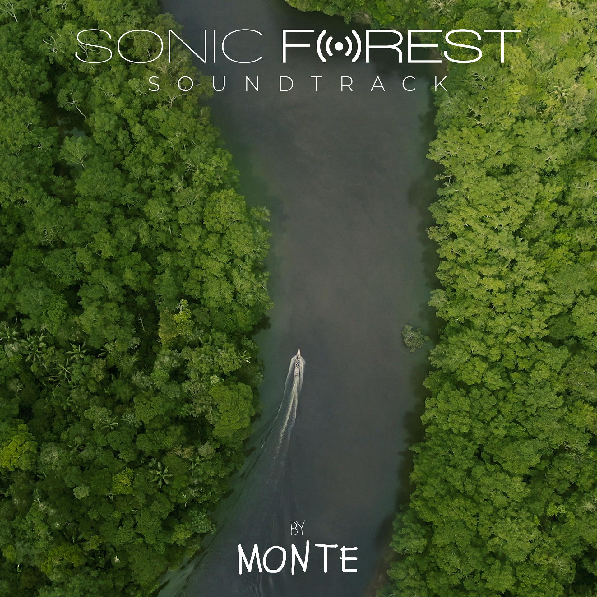 Постер альбома Sonic Forest
