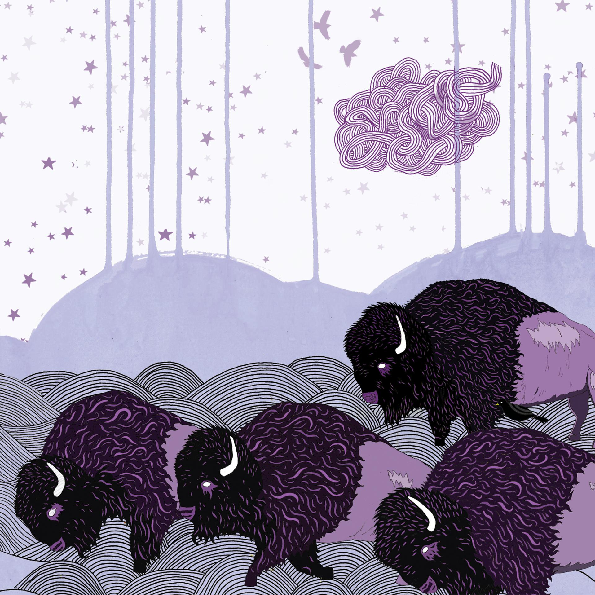 Постер альбома Plains of the Purple Buffalo