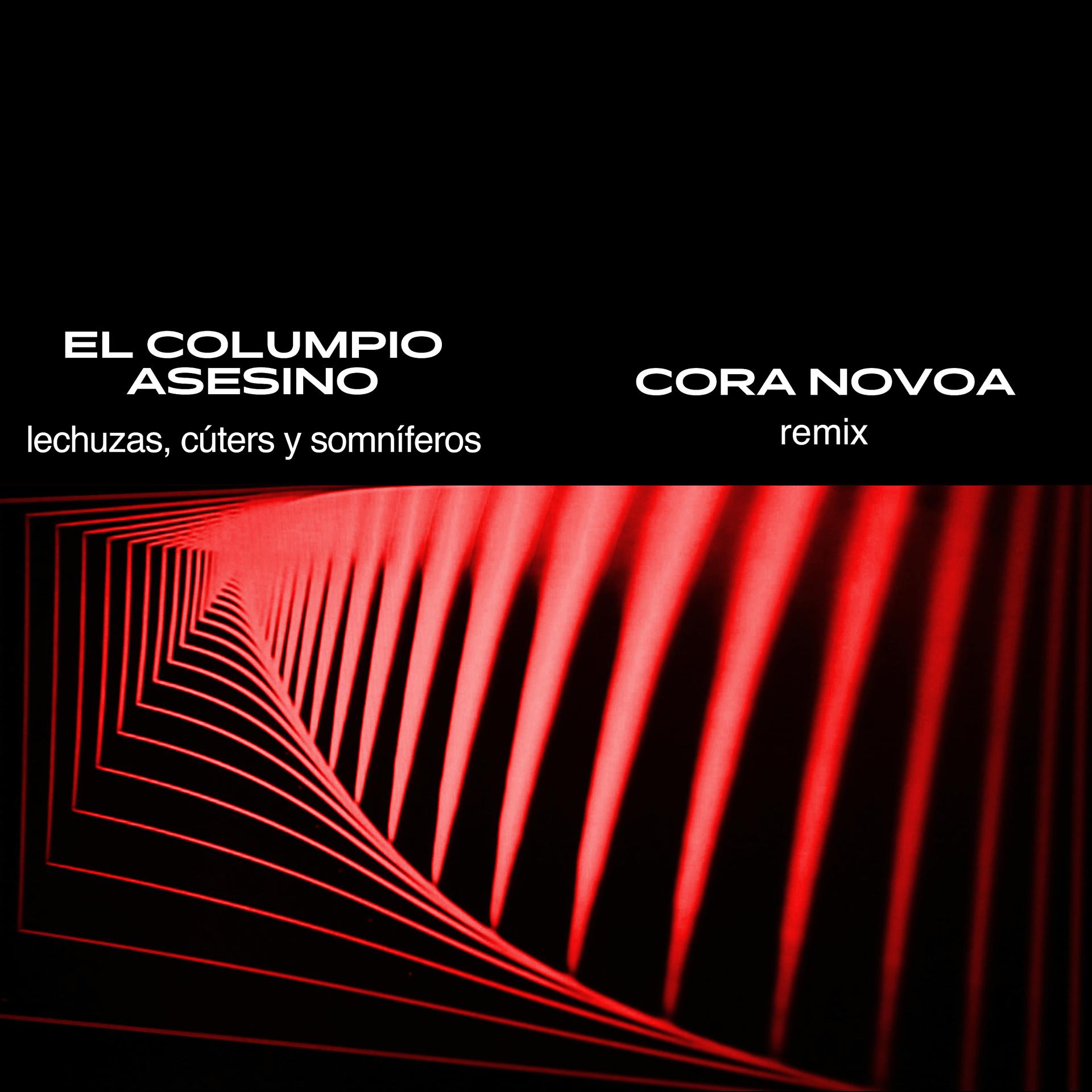 Постер альбома Lechuzas, Cúters y Somníferos (Remix)