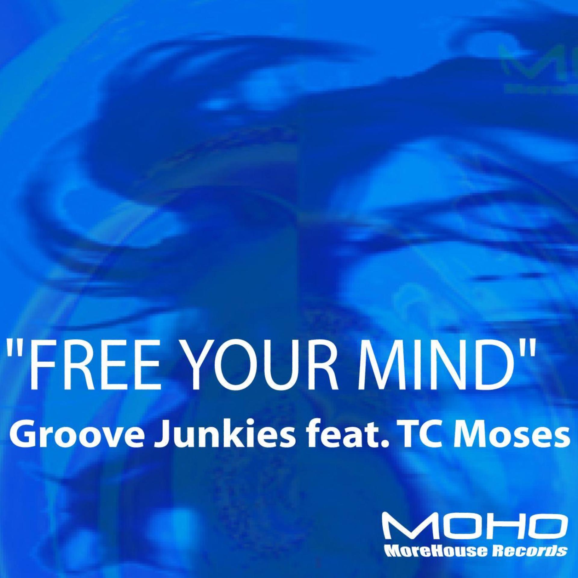 Постер альбома Free Your Mind (feat. TC Moses)