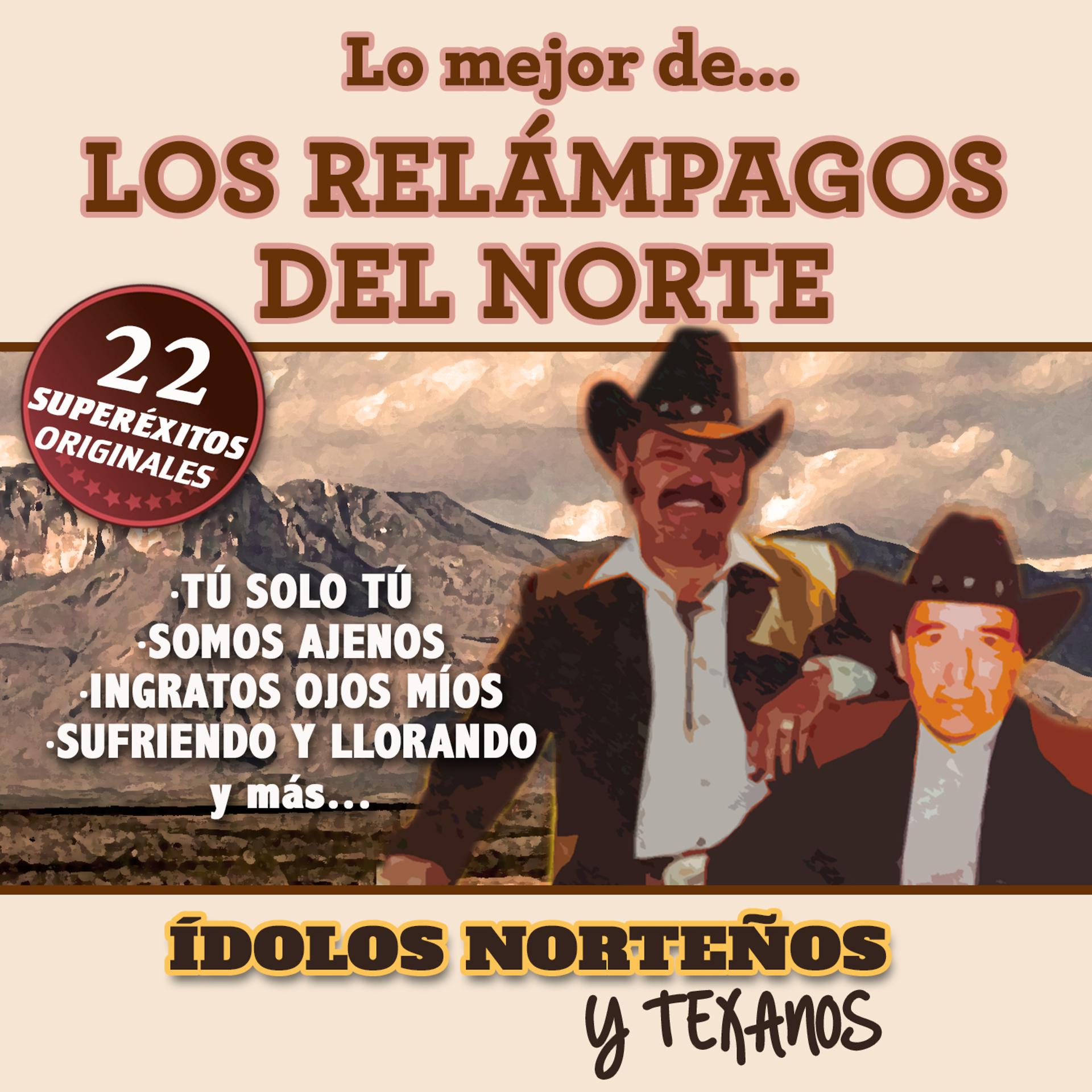 Постер альбома 22 Superexitos (Idolos Norteños y Texanos)