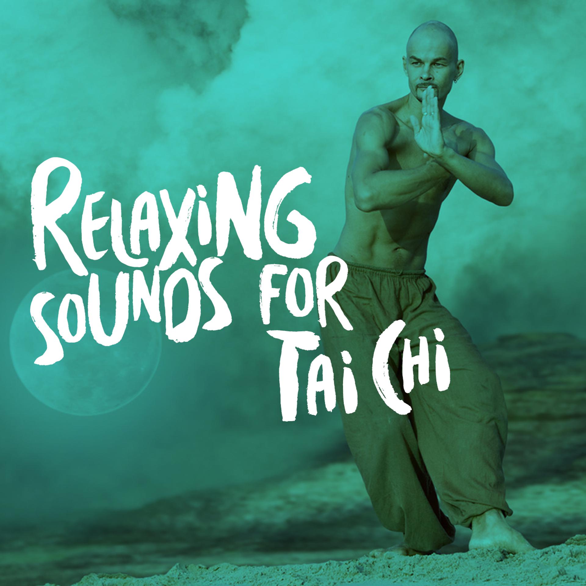 Постер альбома Relaxing Sounds for Tai Chi