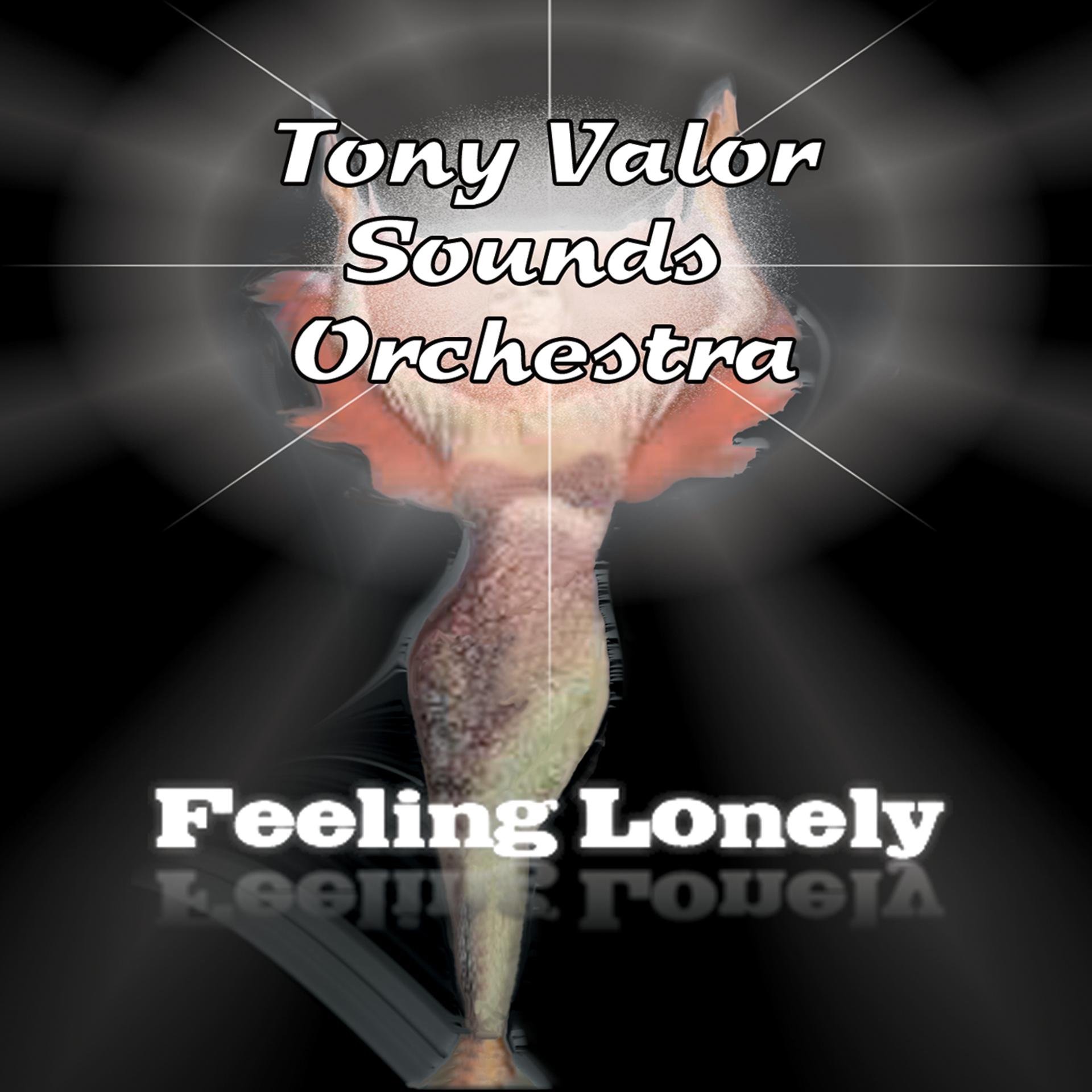 Постер альбома Feeling Lonely