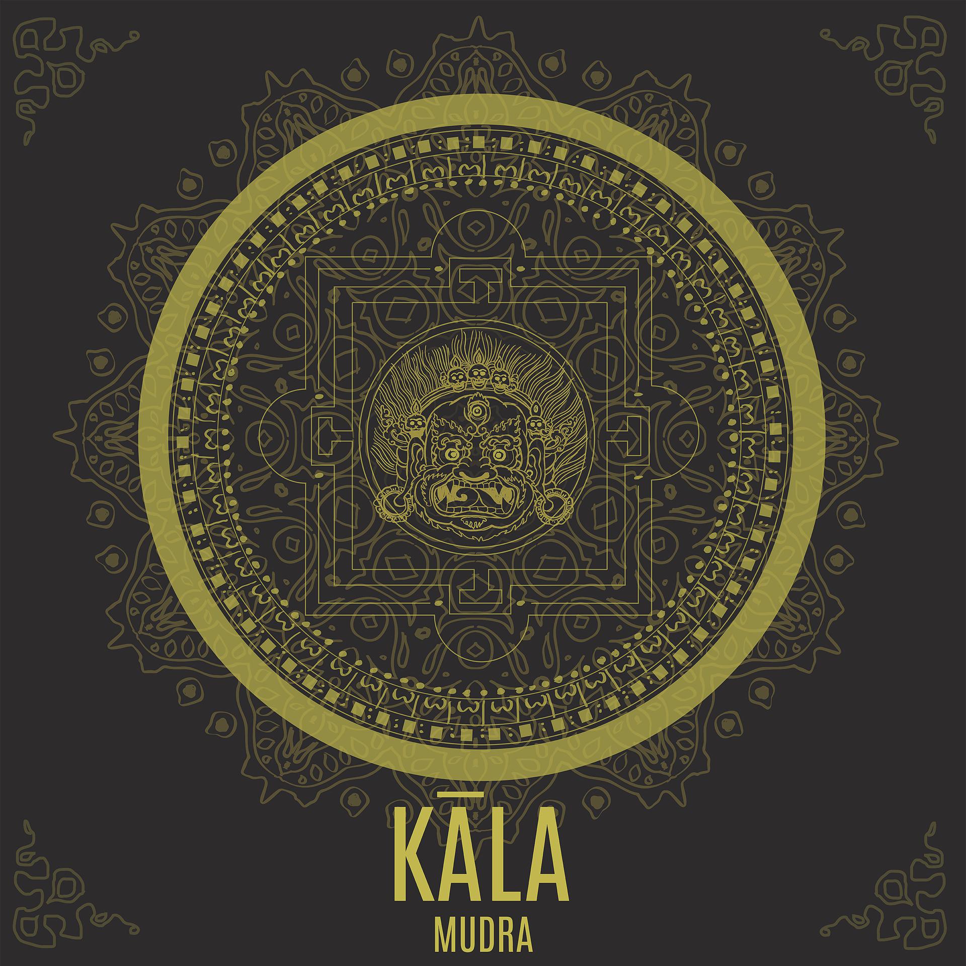 Постер альбома Kala