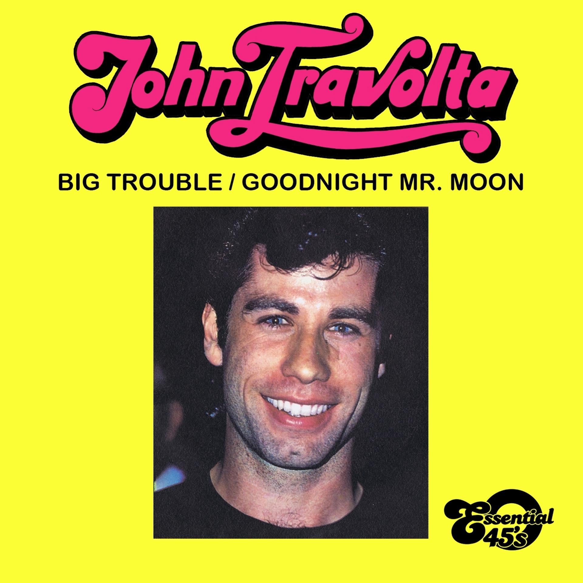 Постер альбома Big Trouble / Goodnight Mr. Moon (Digital 45)