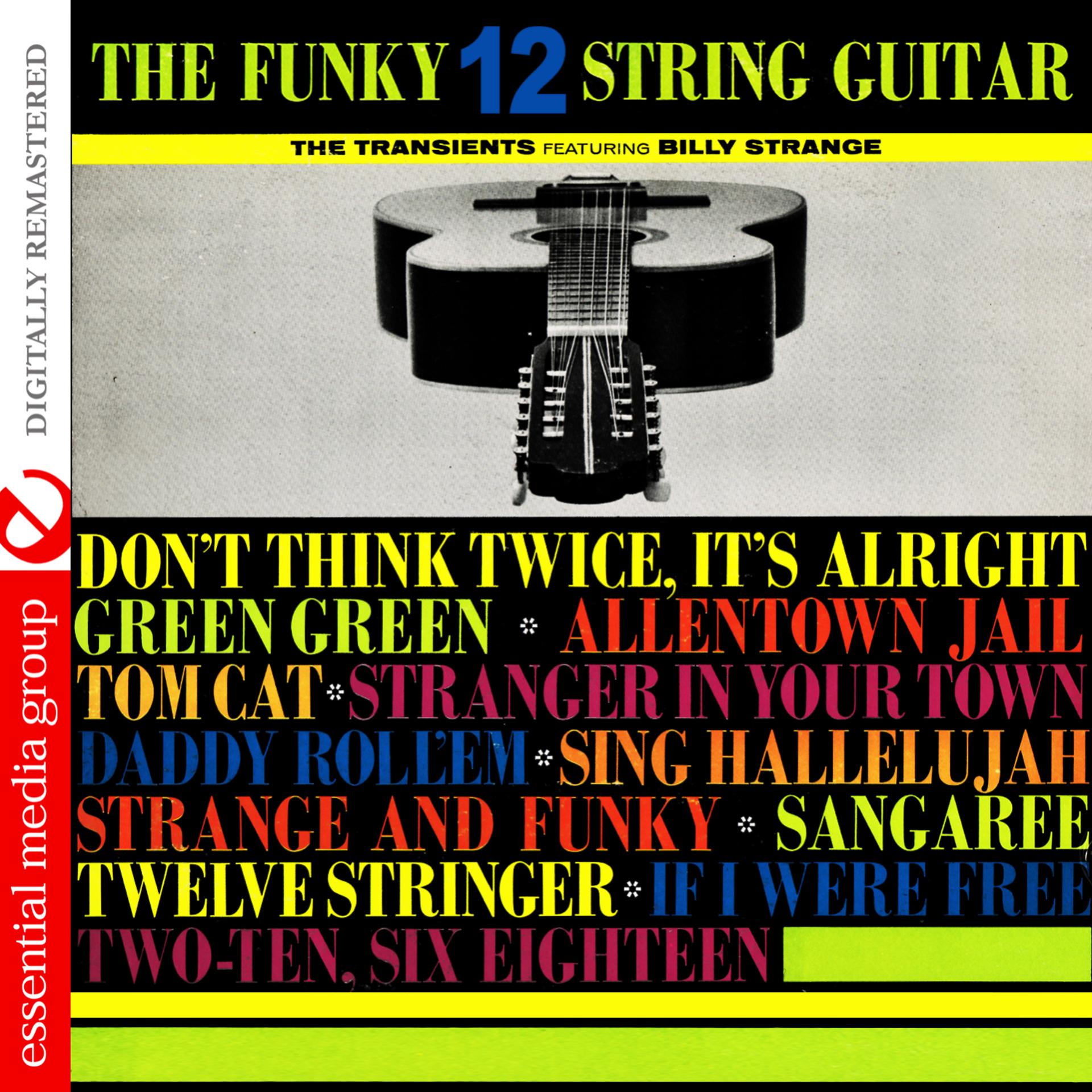 Постер альбома The Funky 12 String Guitar (Digitally Remastered)