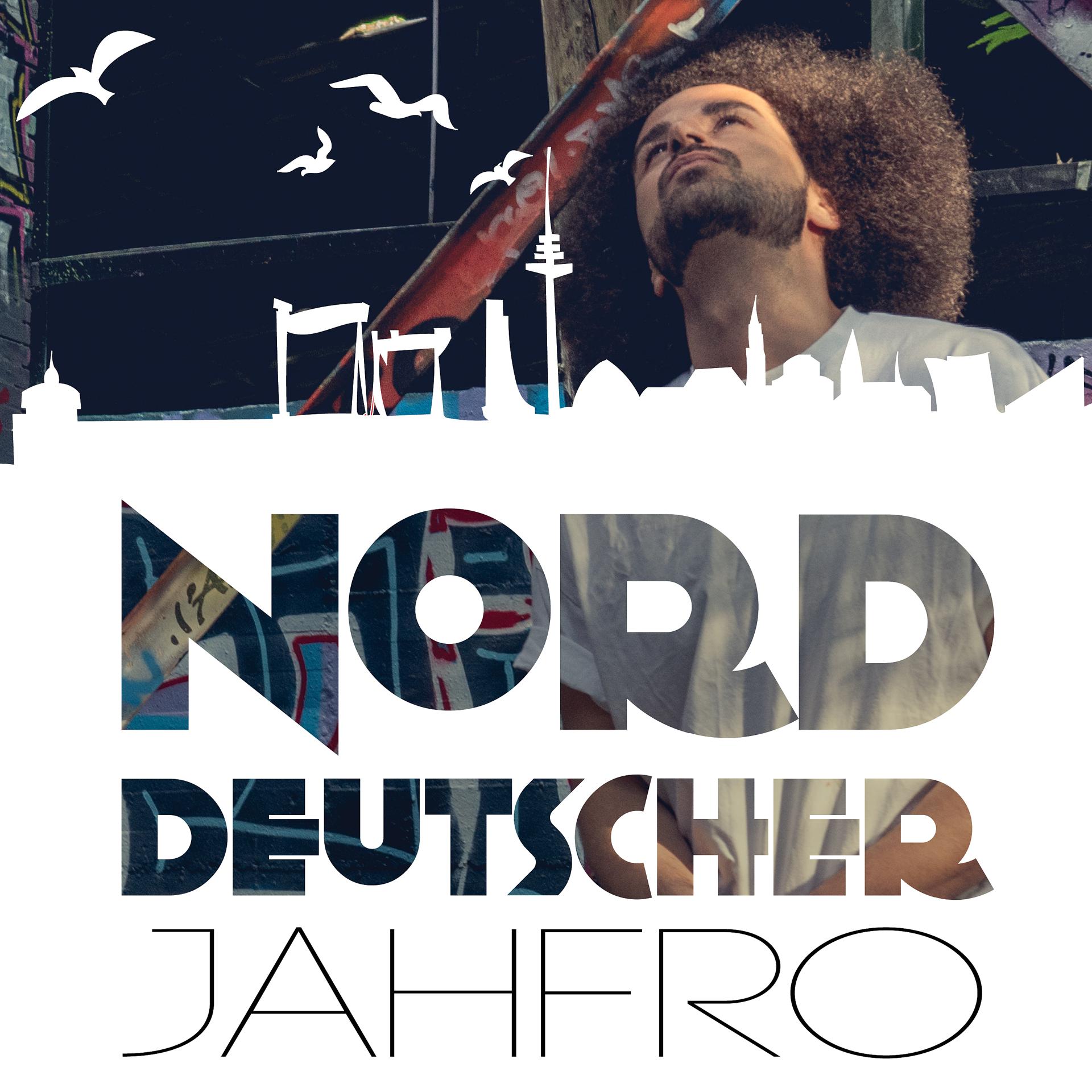Постер альбома Norddeutscher
