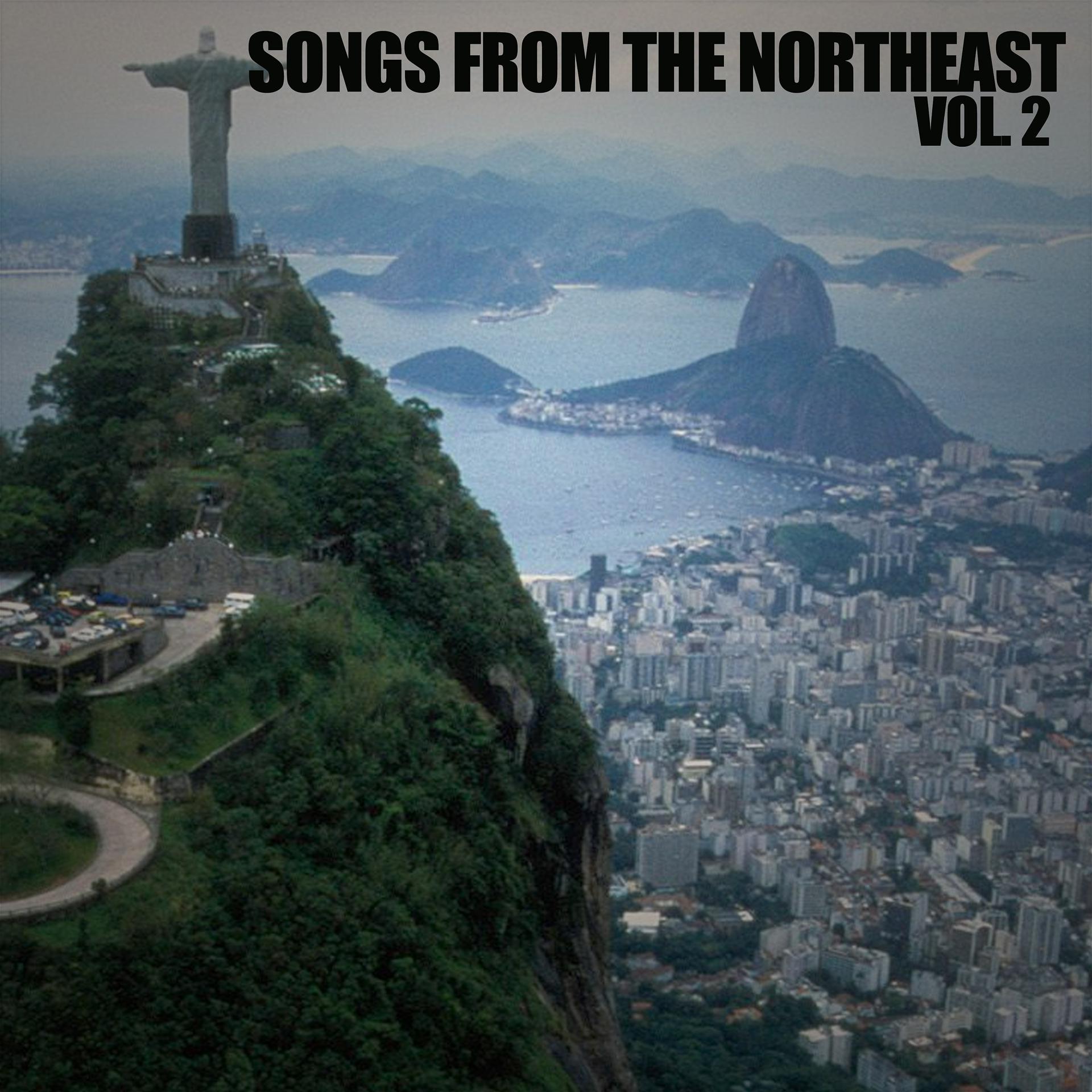 Постер альбома Songs From The Northeast, Vol. 2