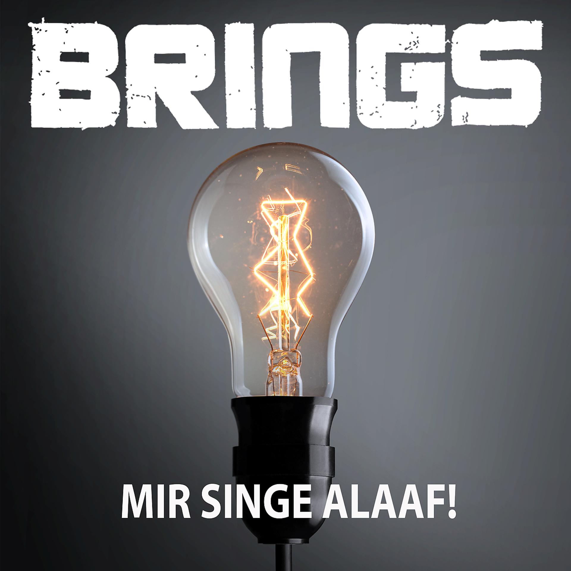 Постер альбома Mir singe Alaaf!