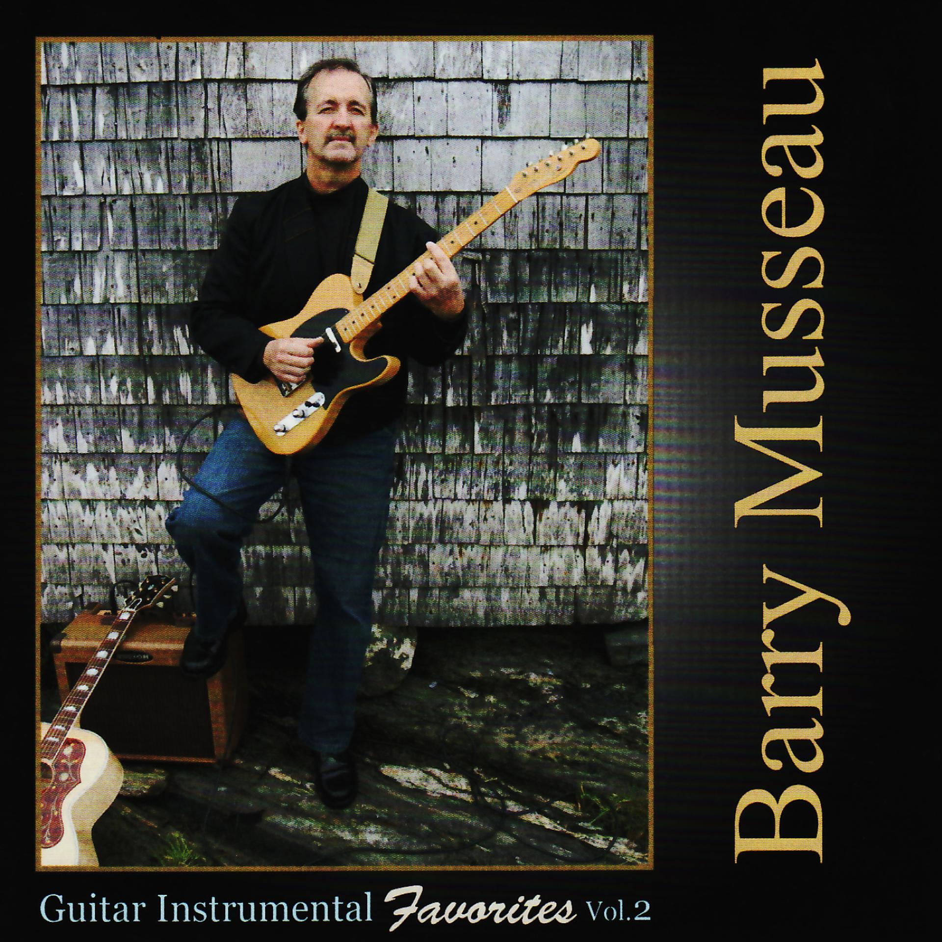 Постер альбома Guitar Instrumental Favourites, Vol. 2