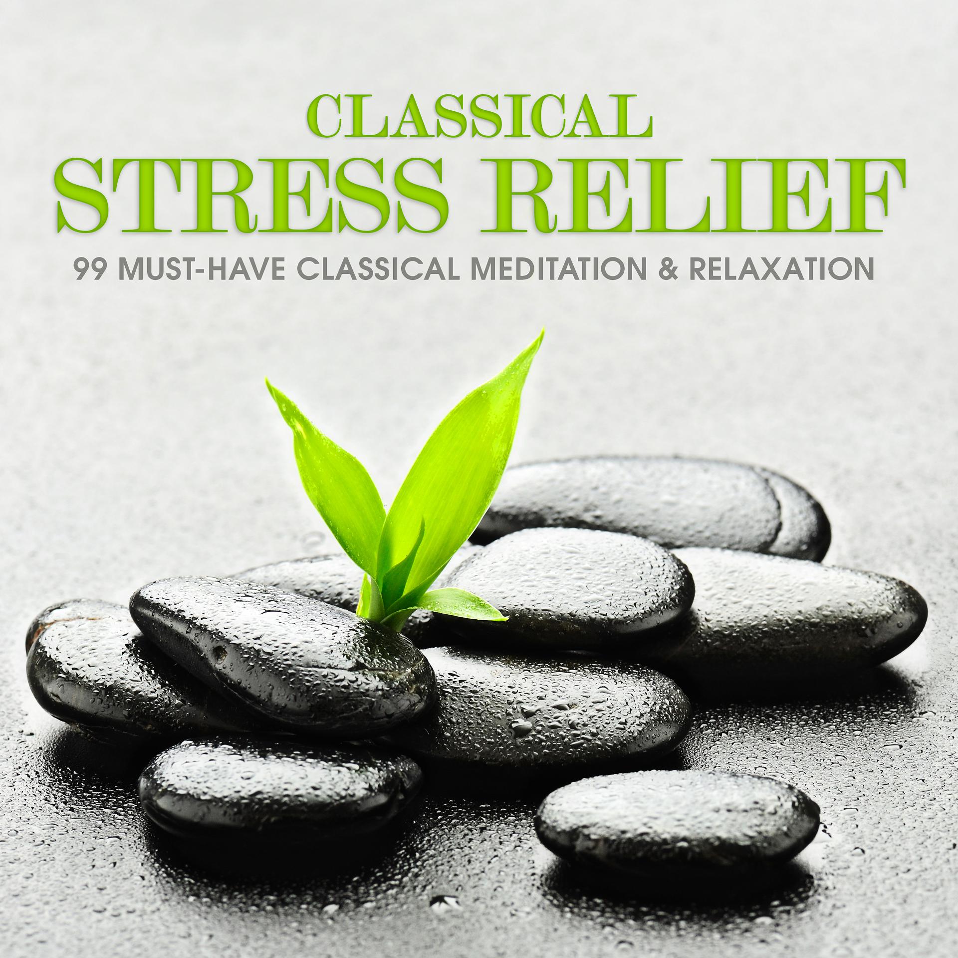 Постер альбома Classical Stress Relief: 99 Must-Have Classical Meditation & Relaxation