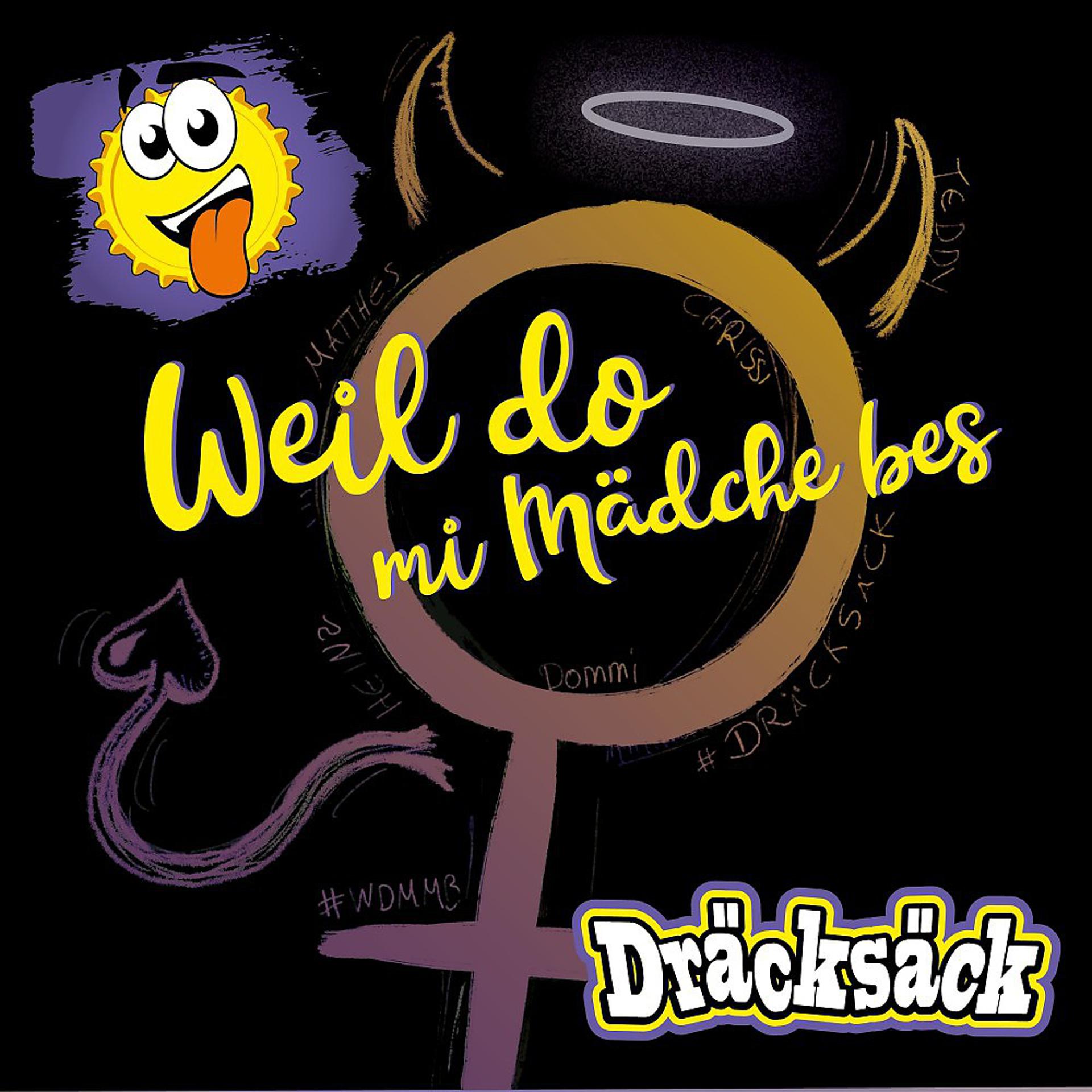 Постер альбома Weil do mi Mädchen bes