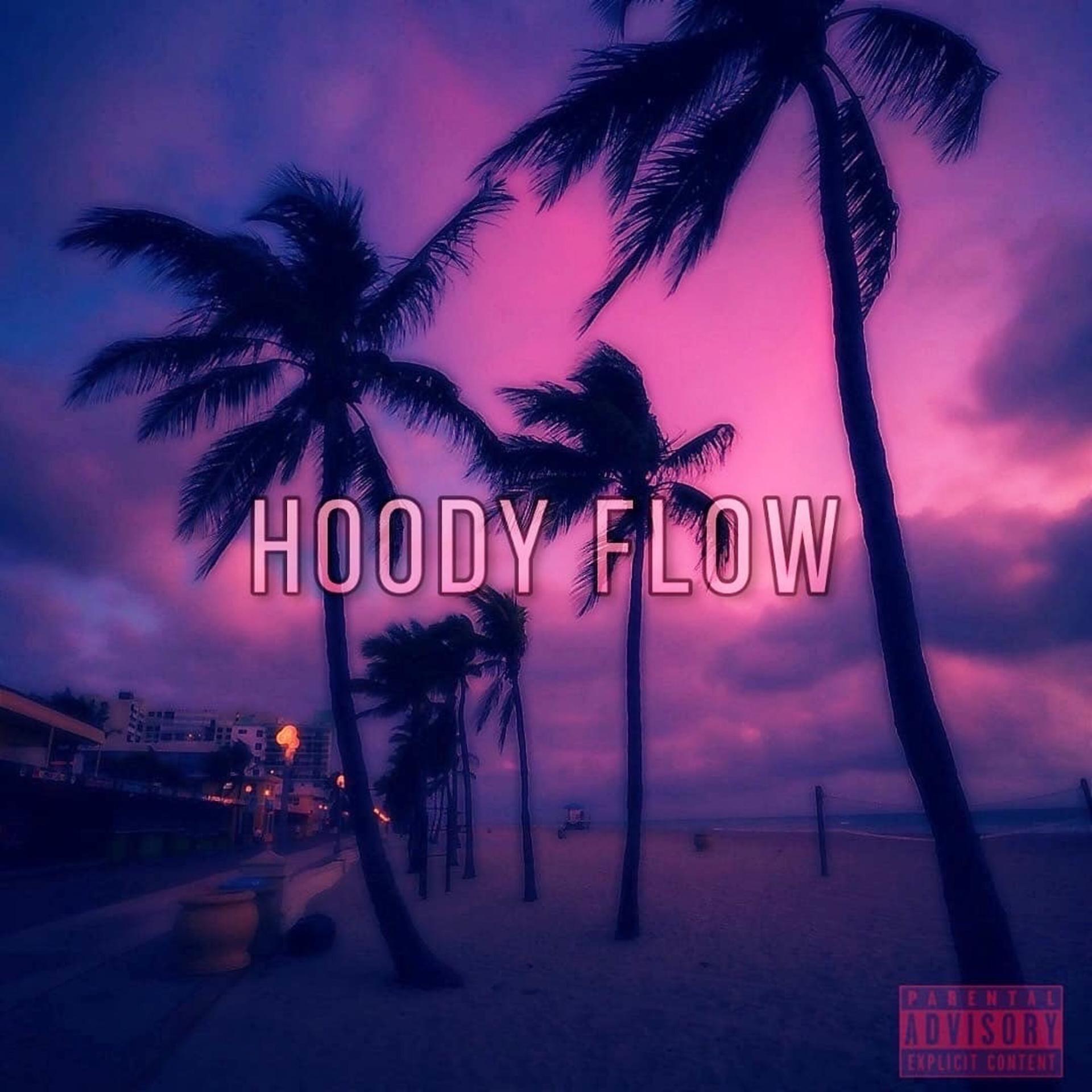 Постер альбома Hoody Flow