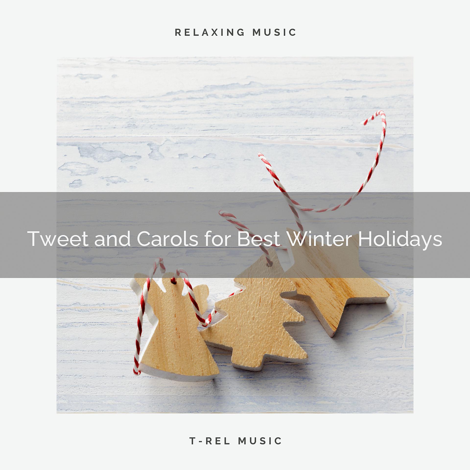 Постер альбома Tweet and Carols for Best Winter Holidays