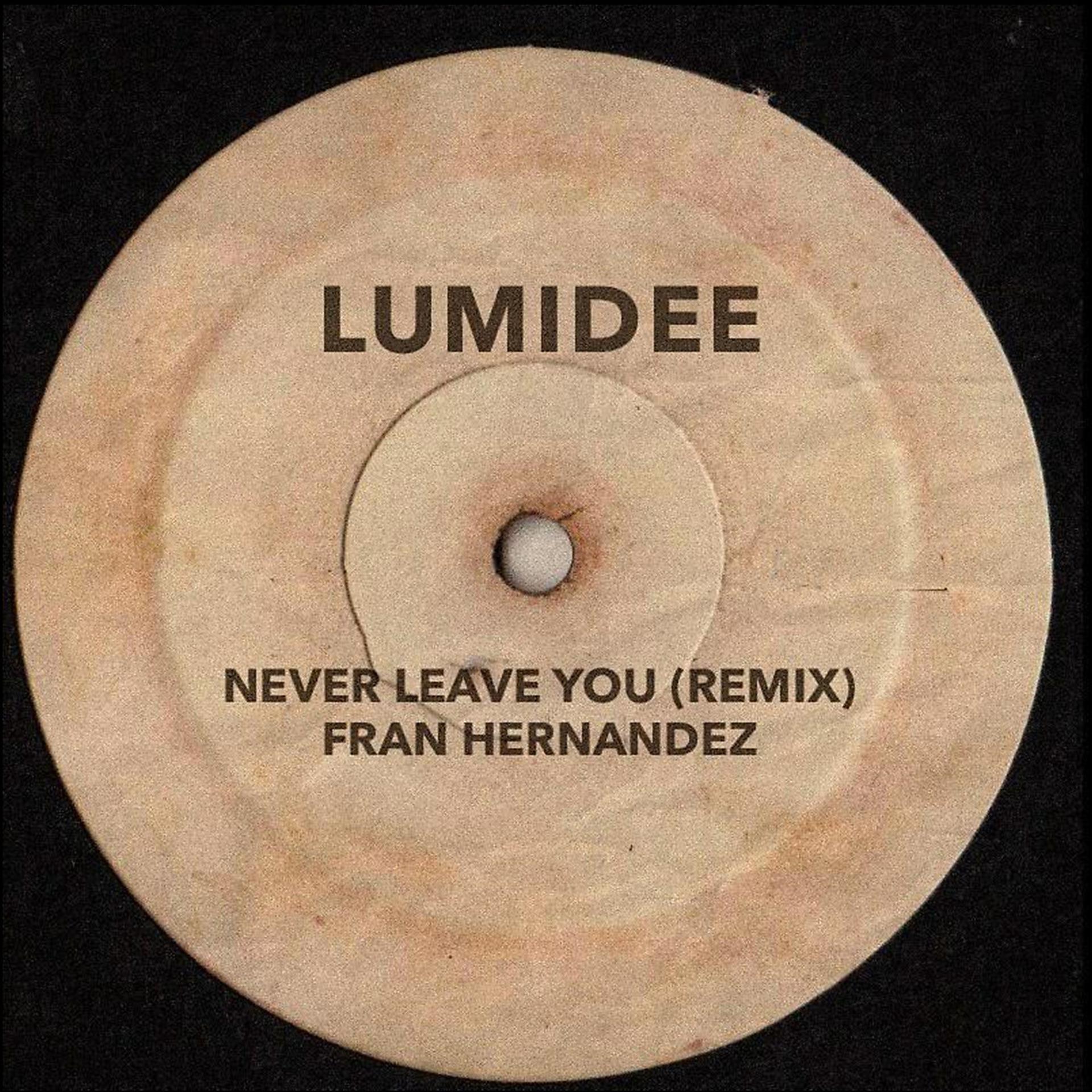 Постер альбома Never Leave You (Remix)