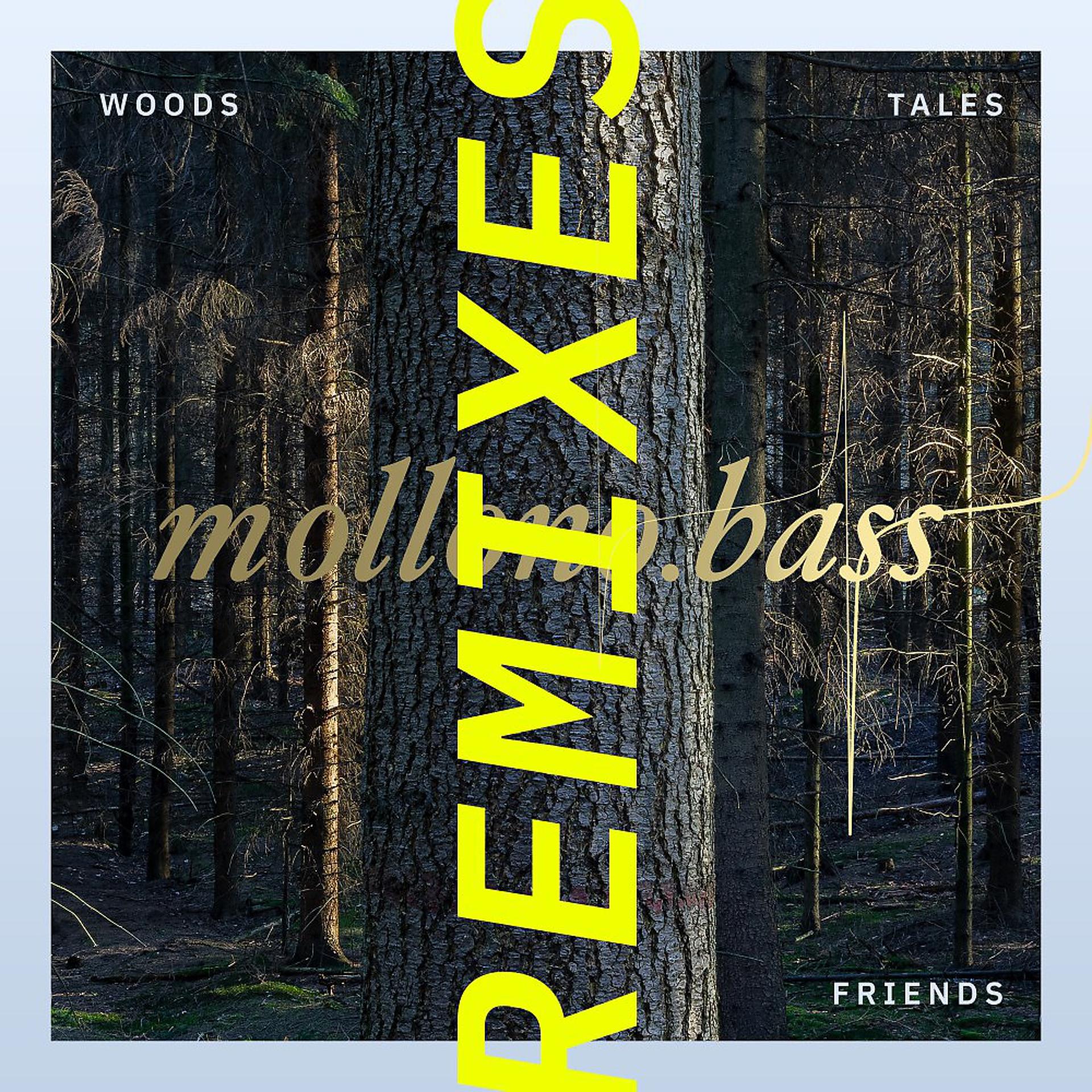 Постер альбома Woods, Tales & Friends Remixes - Part One