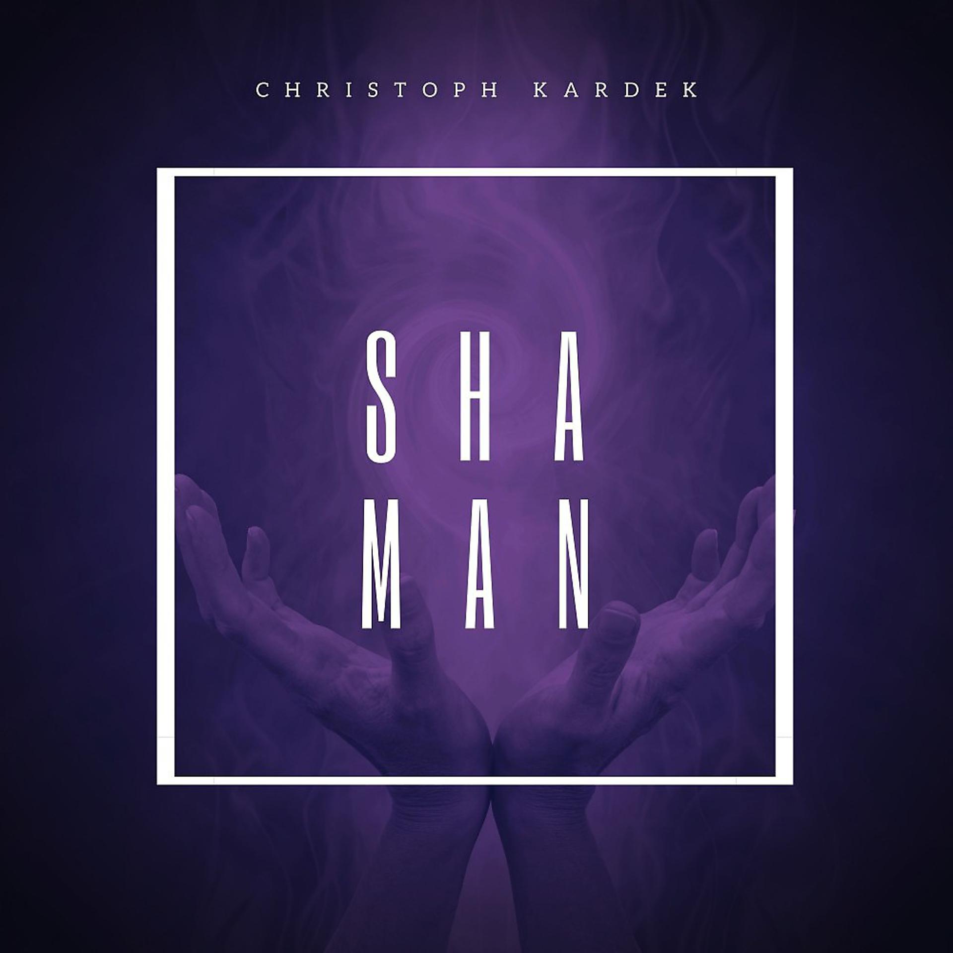 Постер альбома Shaman II