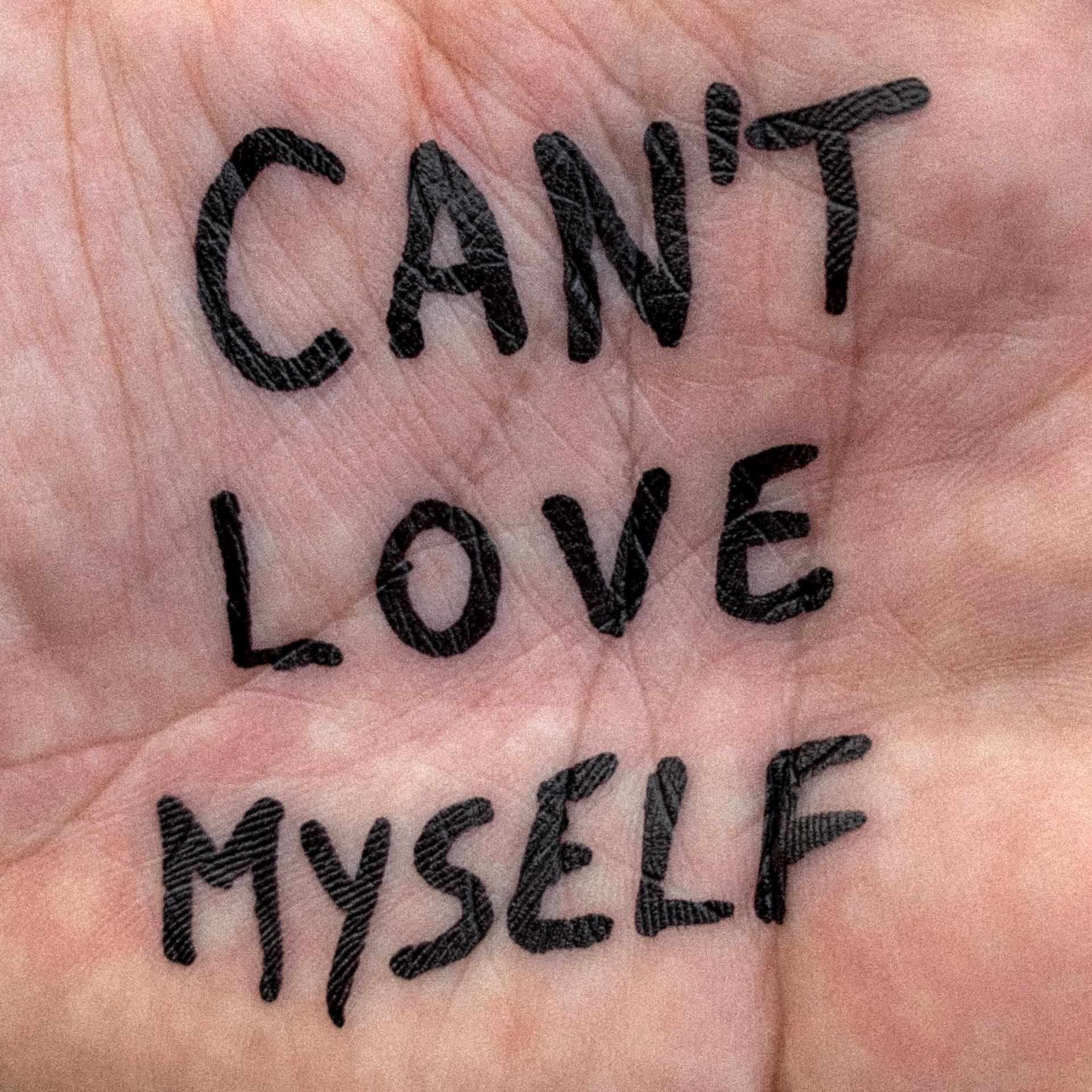 Постер альбома Can't Love Myself (feat. Mishaal & LPW)