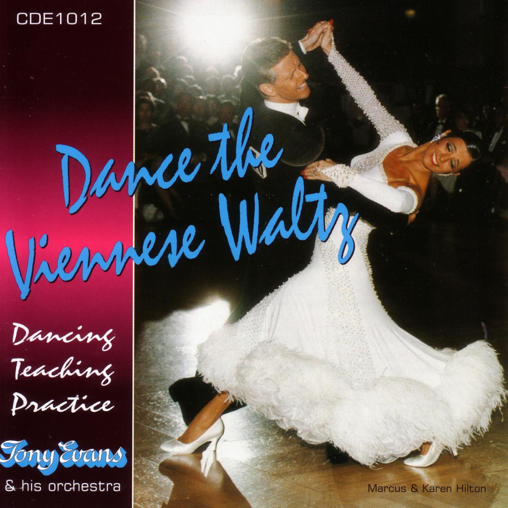 Постер альбома Dance The Viennese Waltz