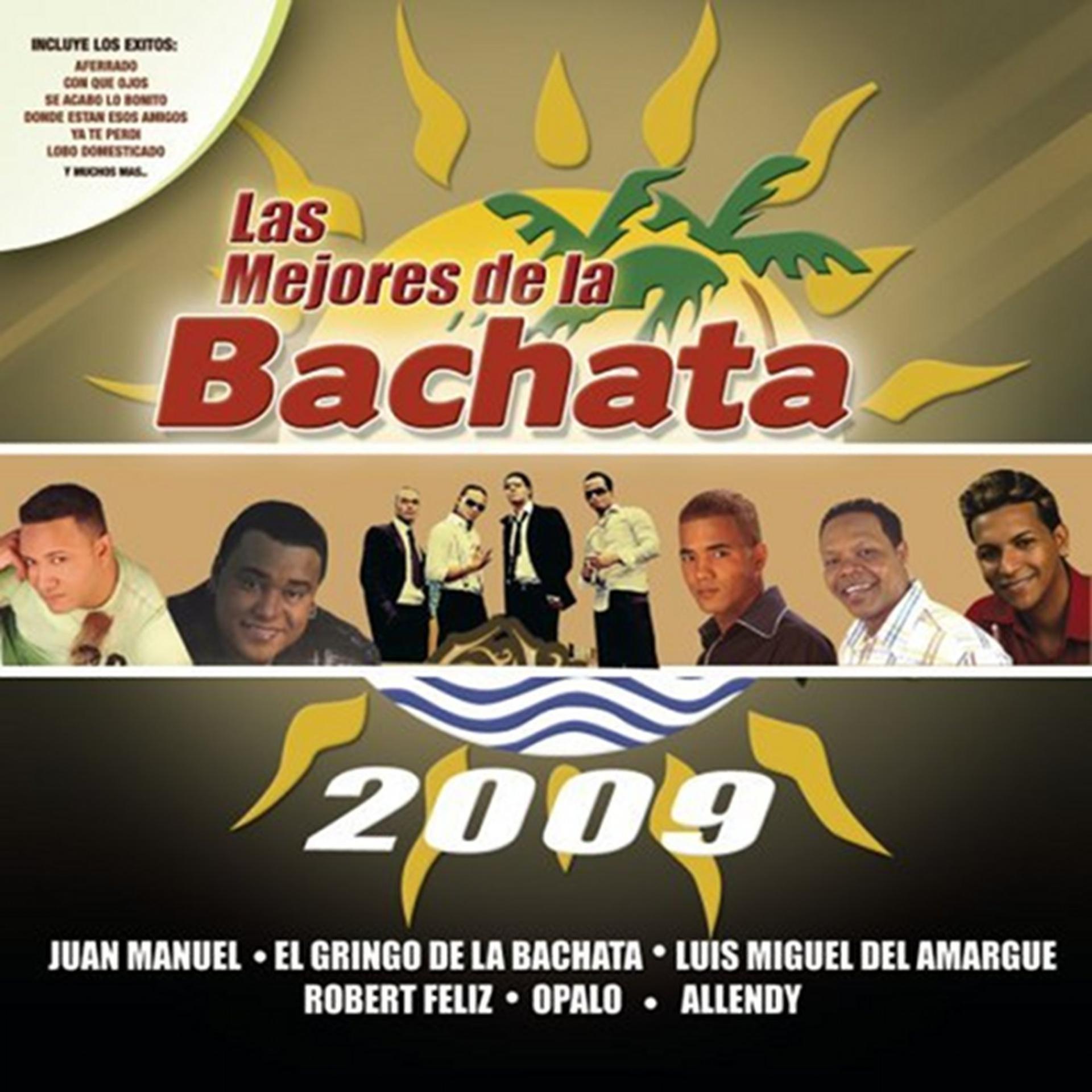 Постер альбома Los Mejores de la Bachata 2009