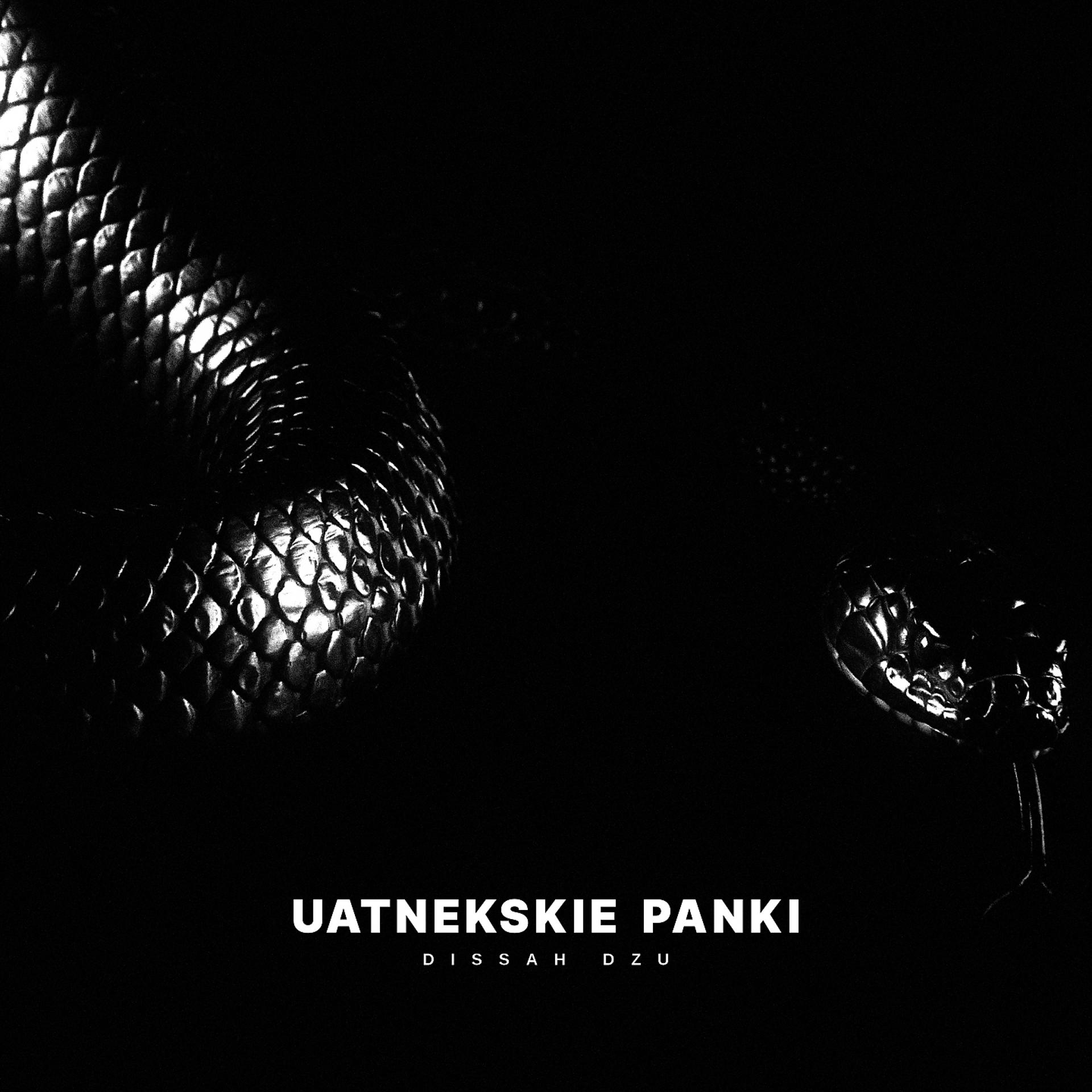 Постер альбома Uatnekskie Panki