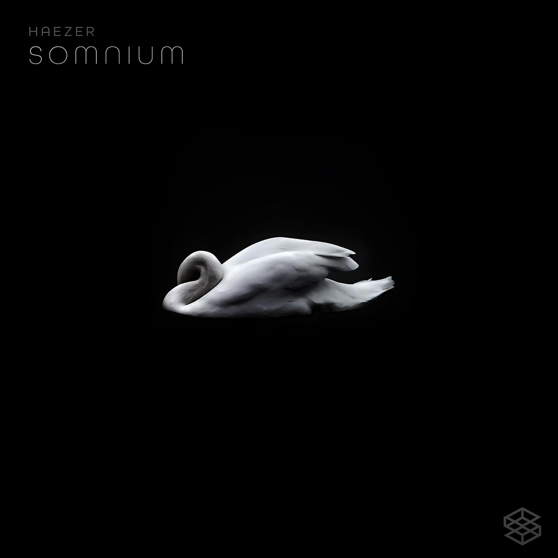 Постер альбома Somnium
