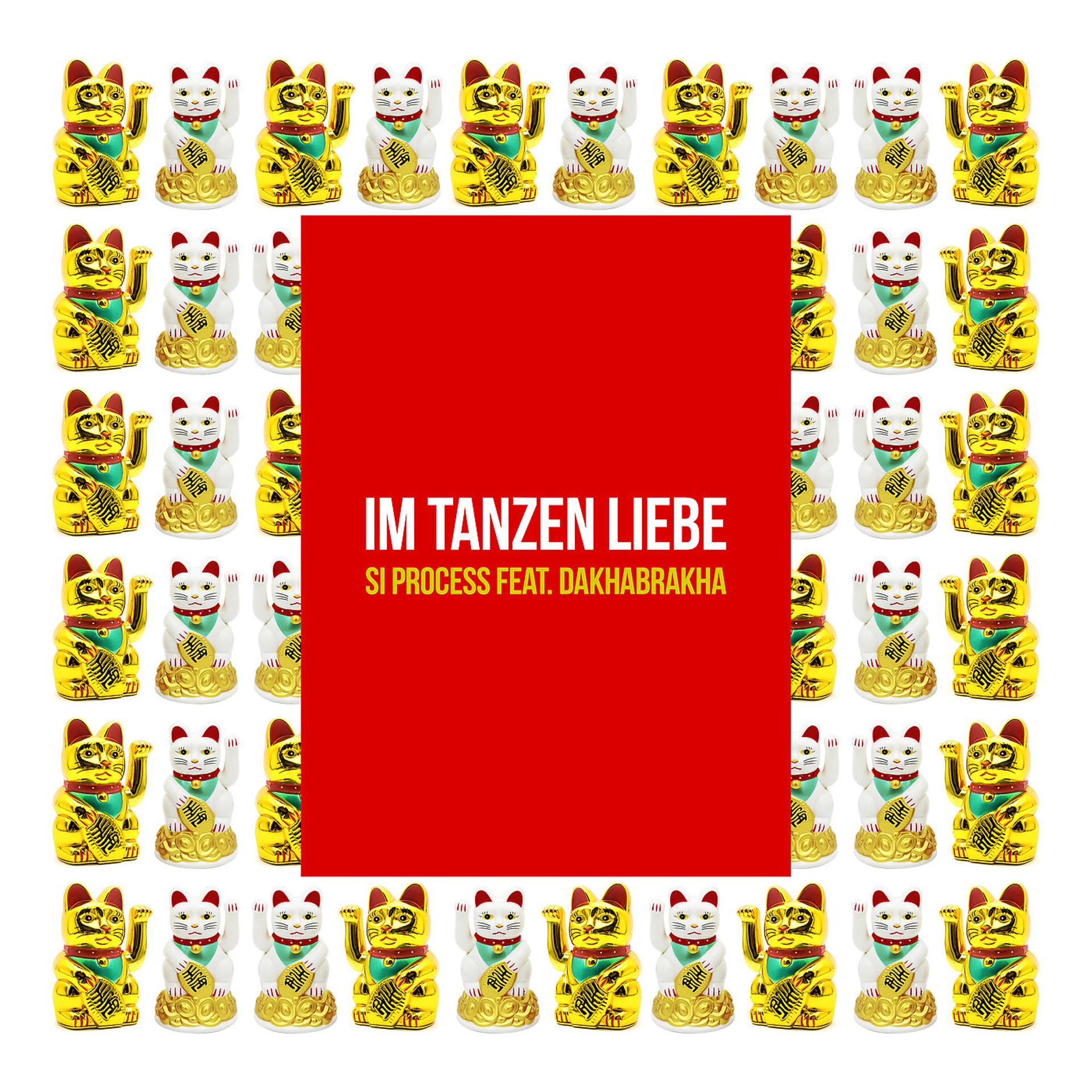 Постер альбома Im Tanzen Liebe (Remix)