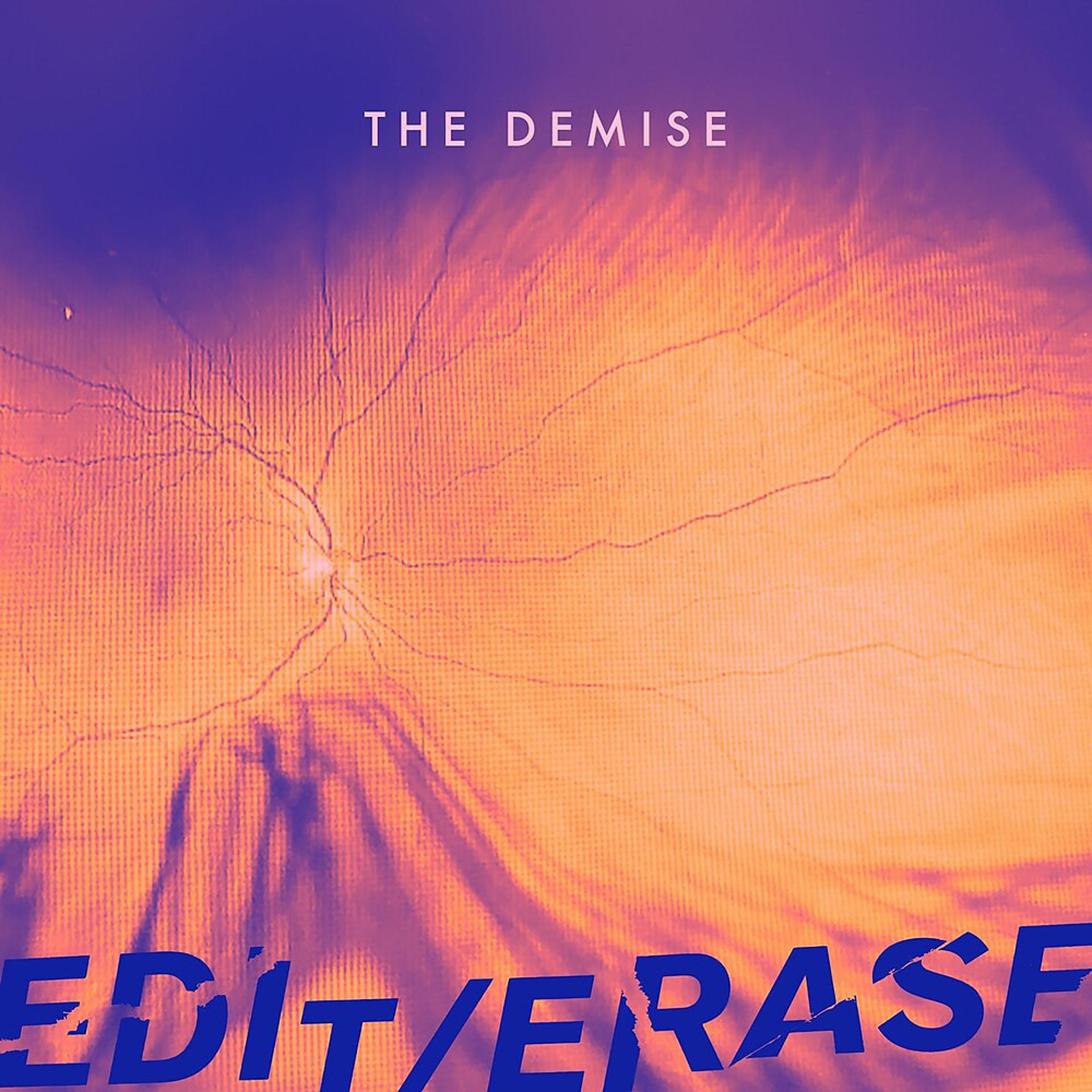 Постер альбома The Demise