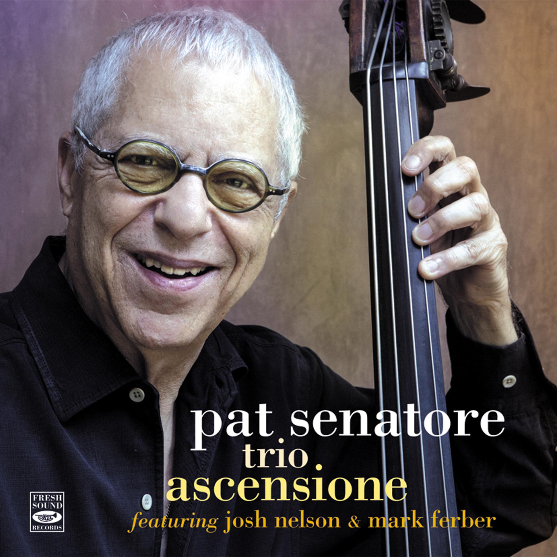 Постер альбома Pat Senatore Trio. Ascensione