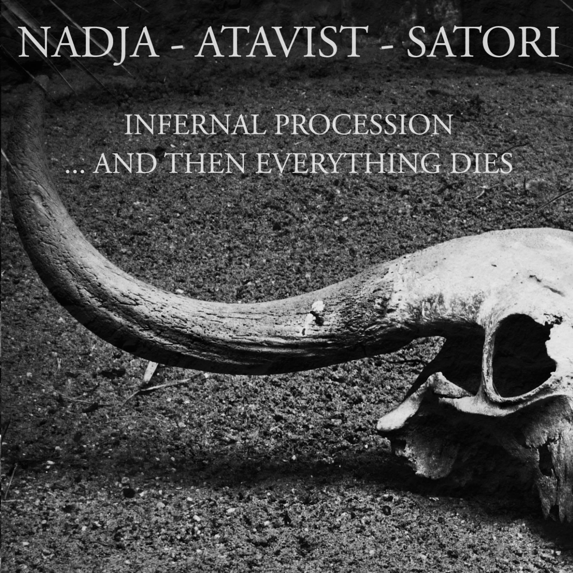 Постер альбома Infernal Procession...And Then Everything Dies