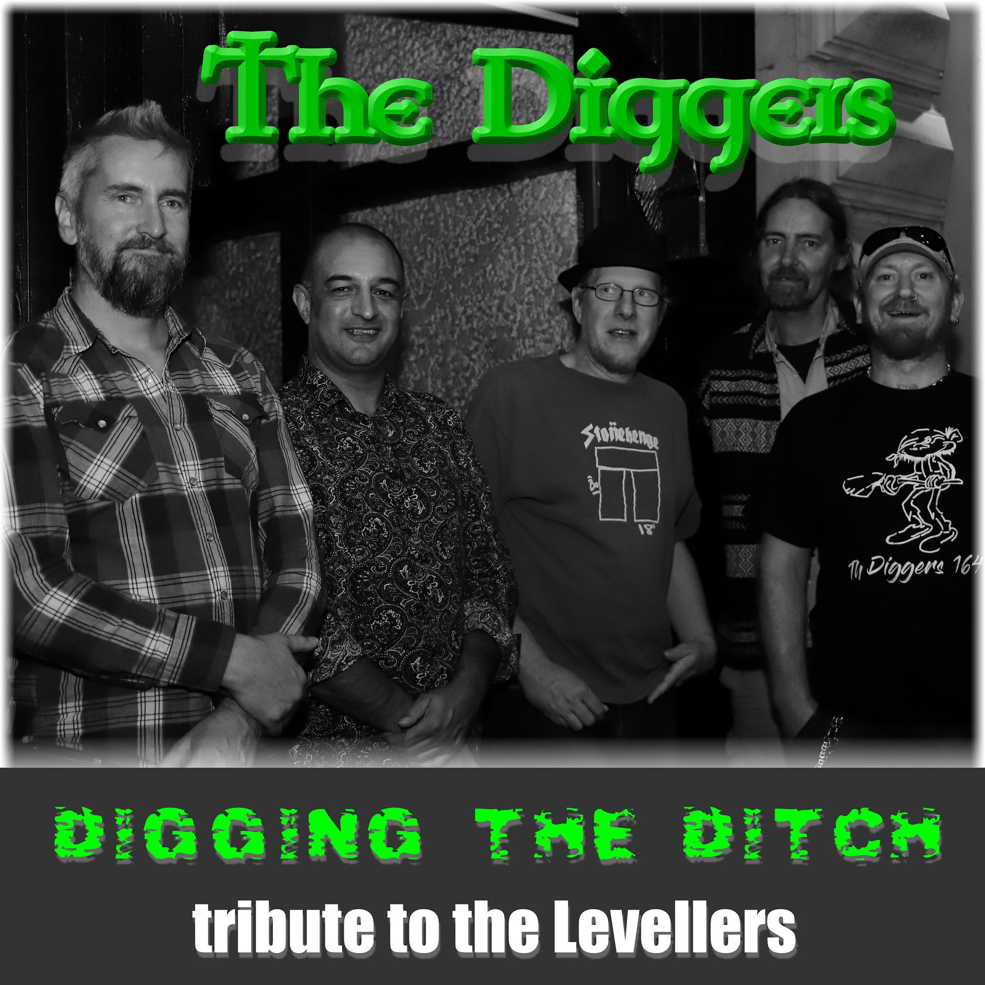 Постер альбома Digging the Ditch