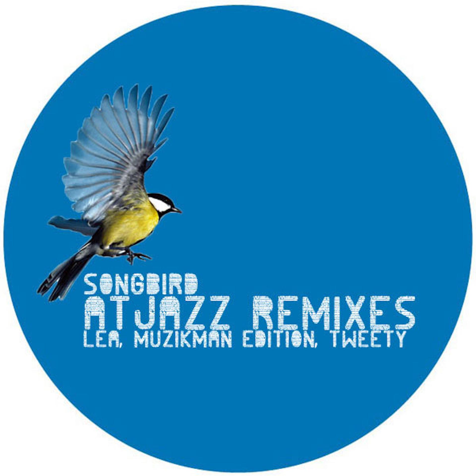 Постер альбома Songbird (Atjazz Remixes)