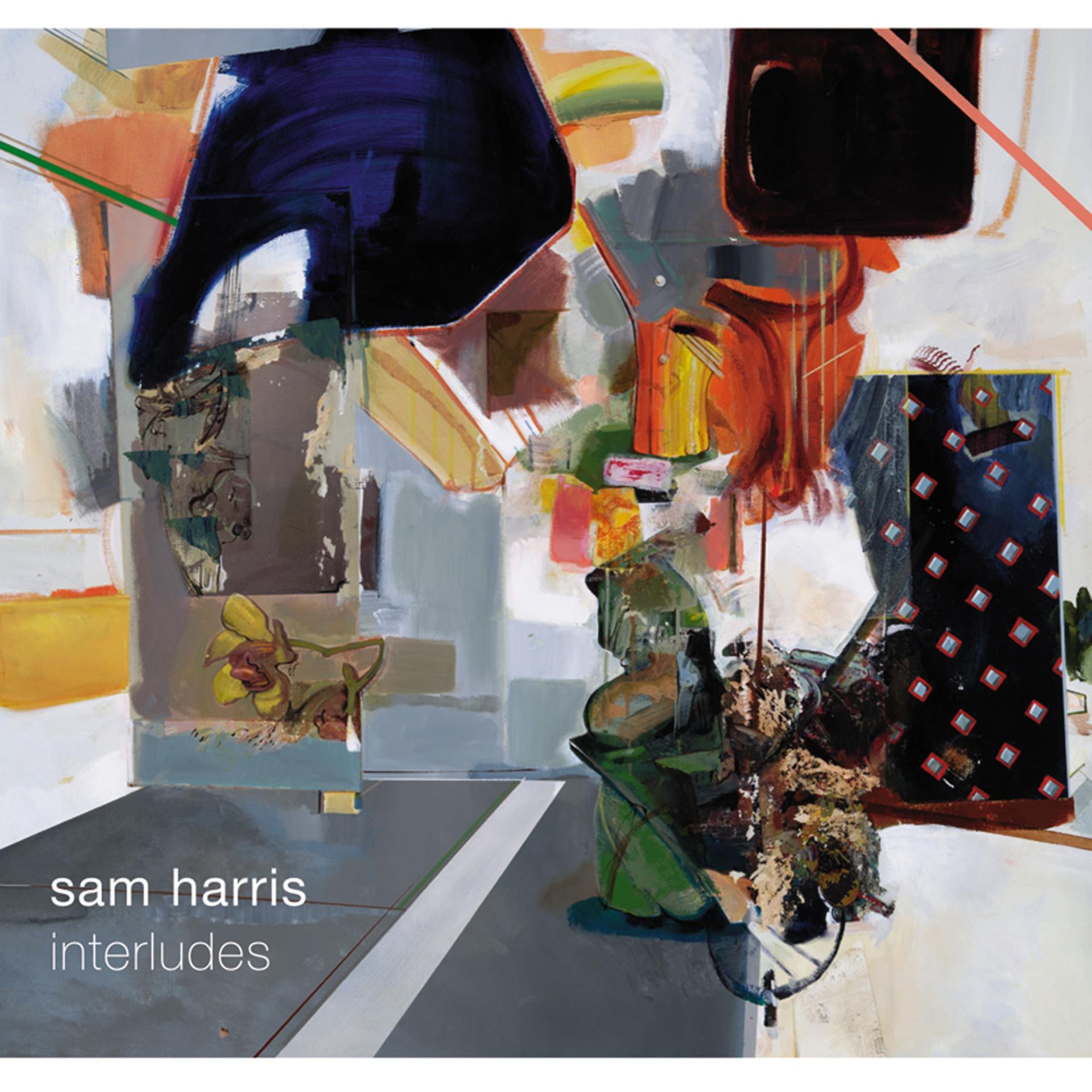 Постер альбома Sam Harris. Interludes