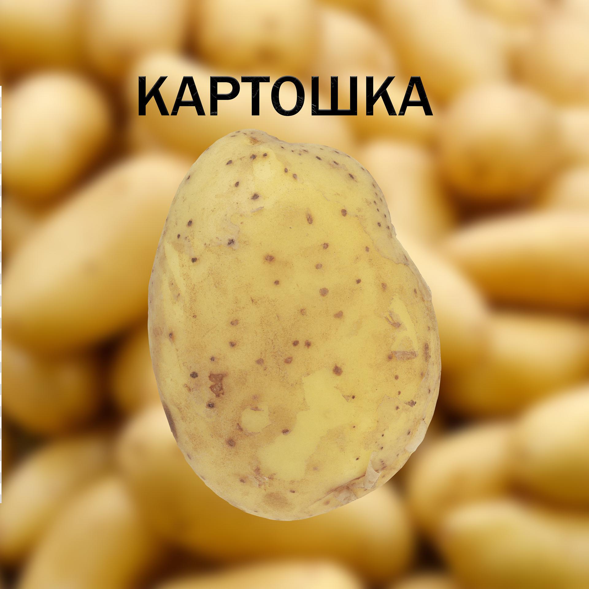 Постер альбома Картошка