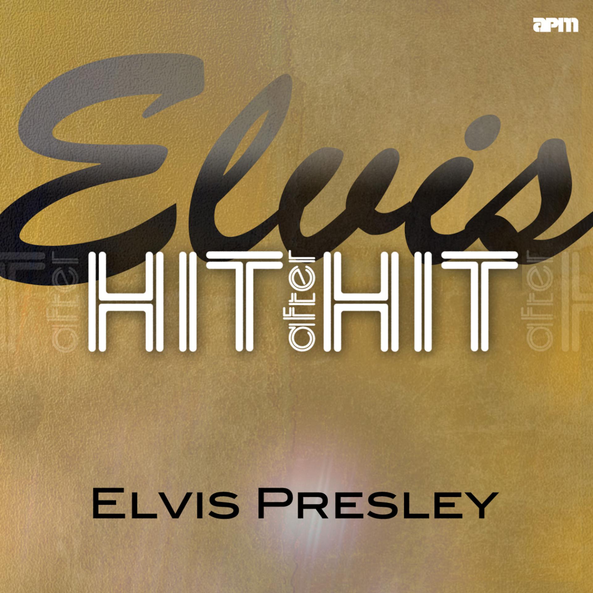 Постер альбома Elvis - Hit After Hit