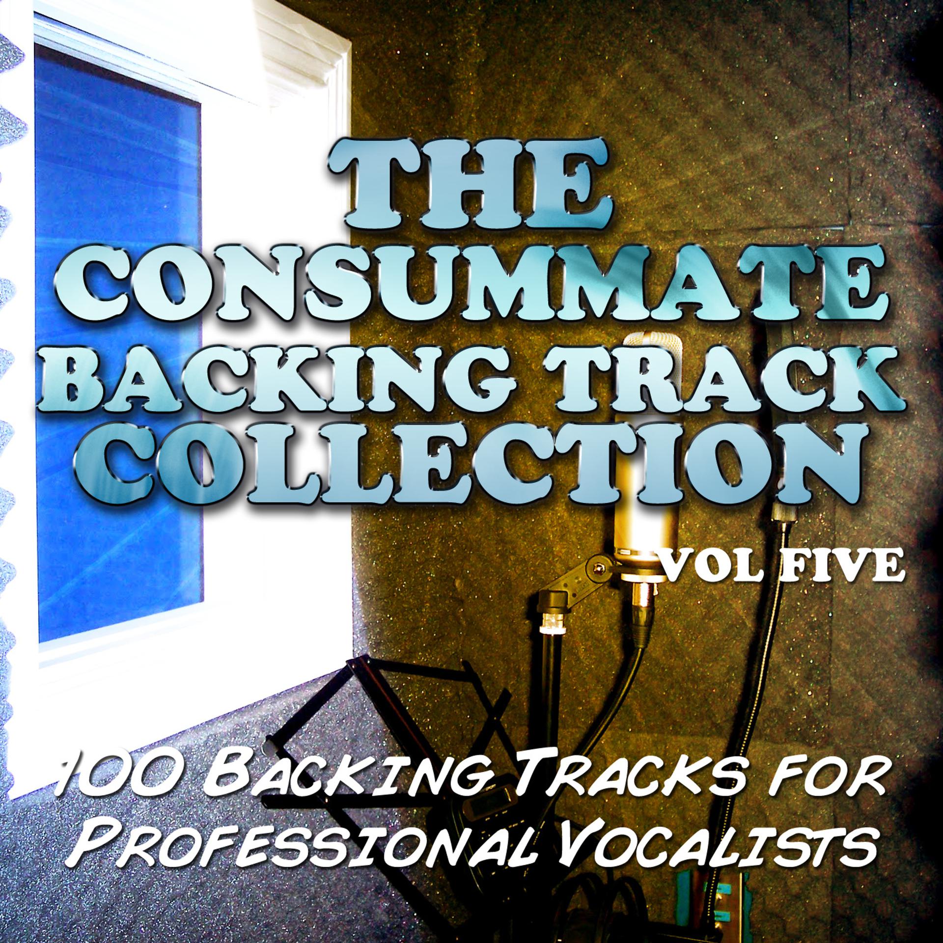 Постер альбома The Consummate Backing Track Collection - 100 Backing Tracks for Professional Vocalists, Vol. 5