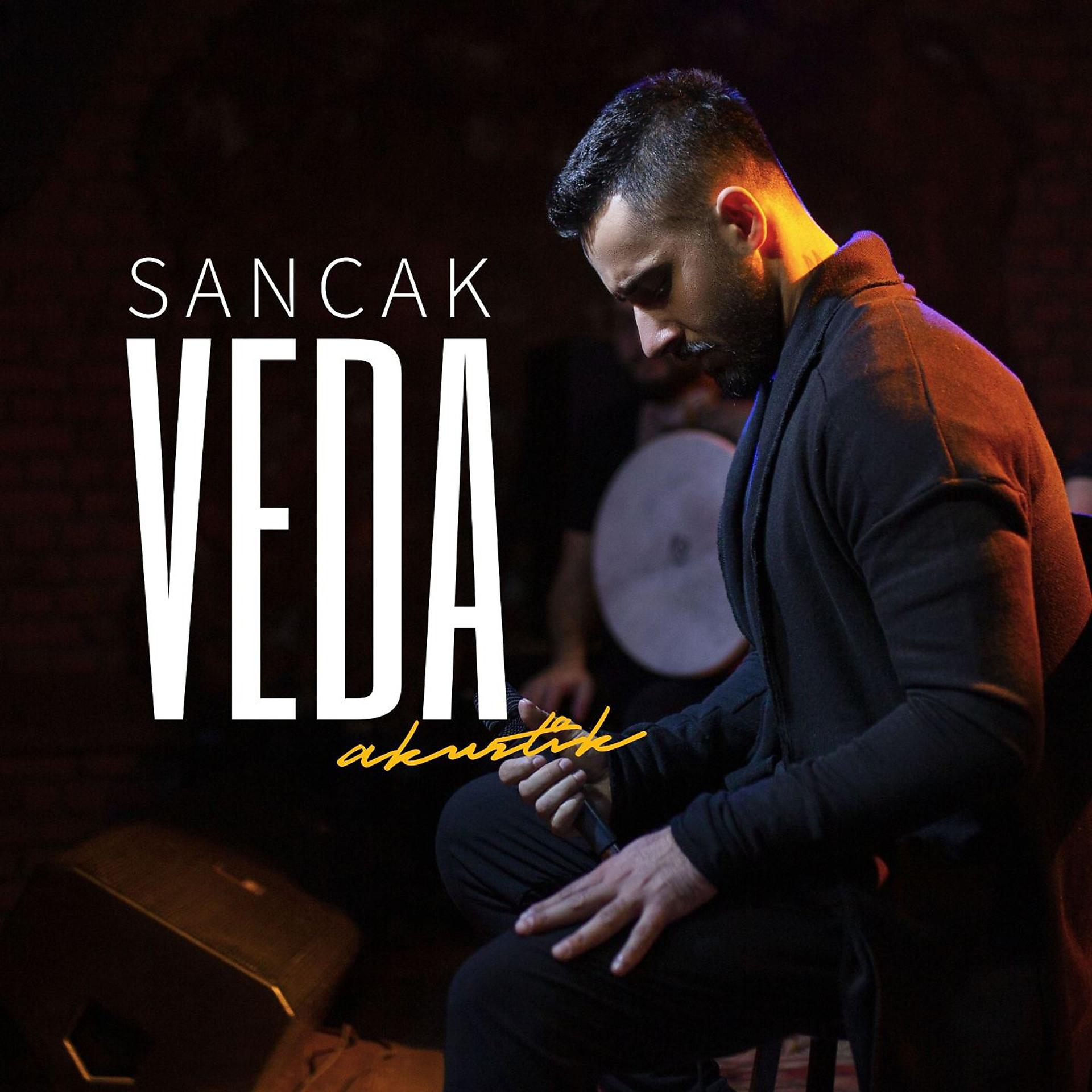 Постер альбома Veda