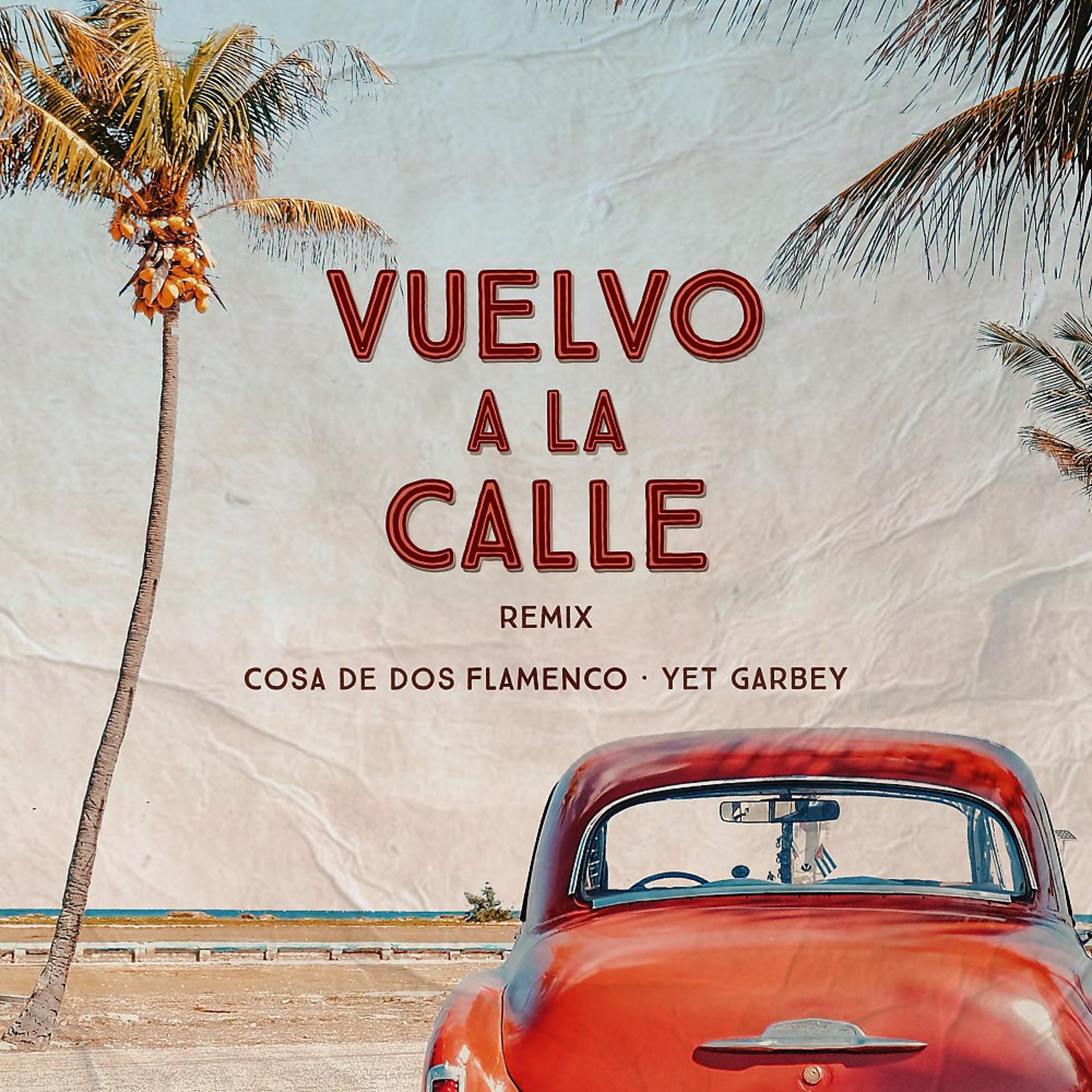 Постер альбома Vuelvo a la Calle (Remix)