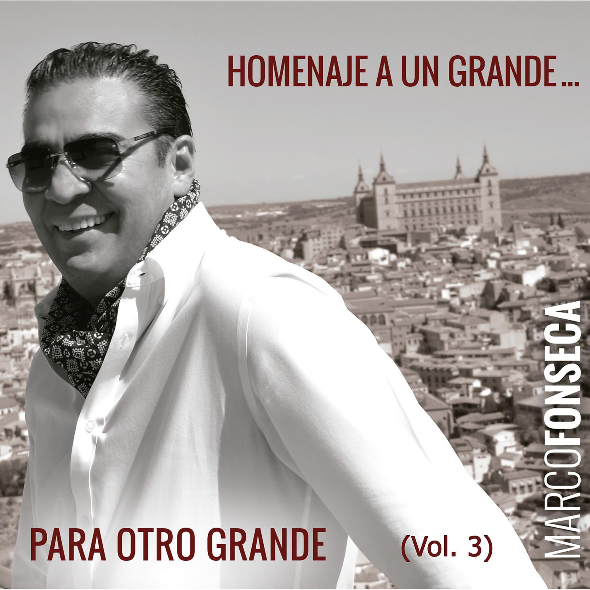 Постер альбома Homenaje a Un Grande... Para Otro Grande (Vol. 3)