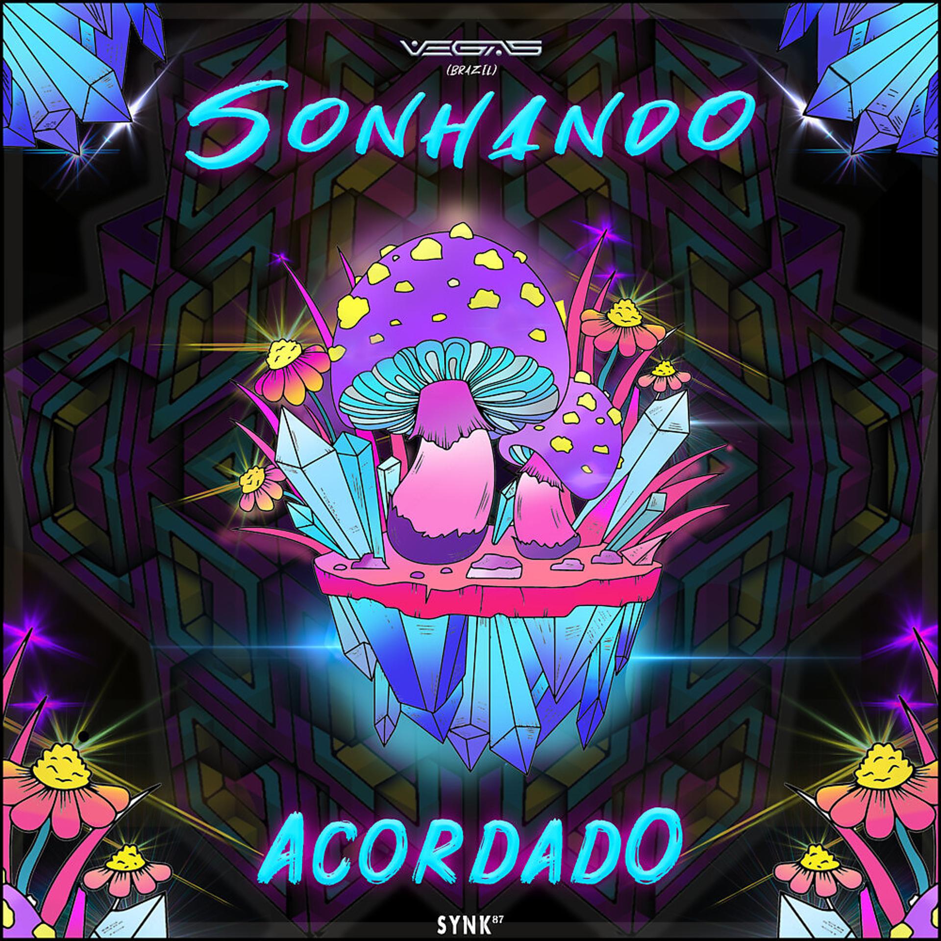 Постер альбома Sonhando Acordado